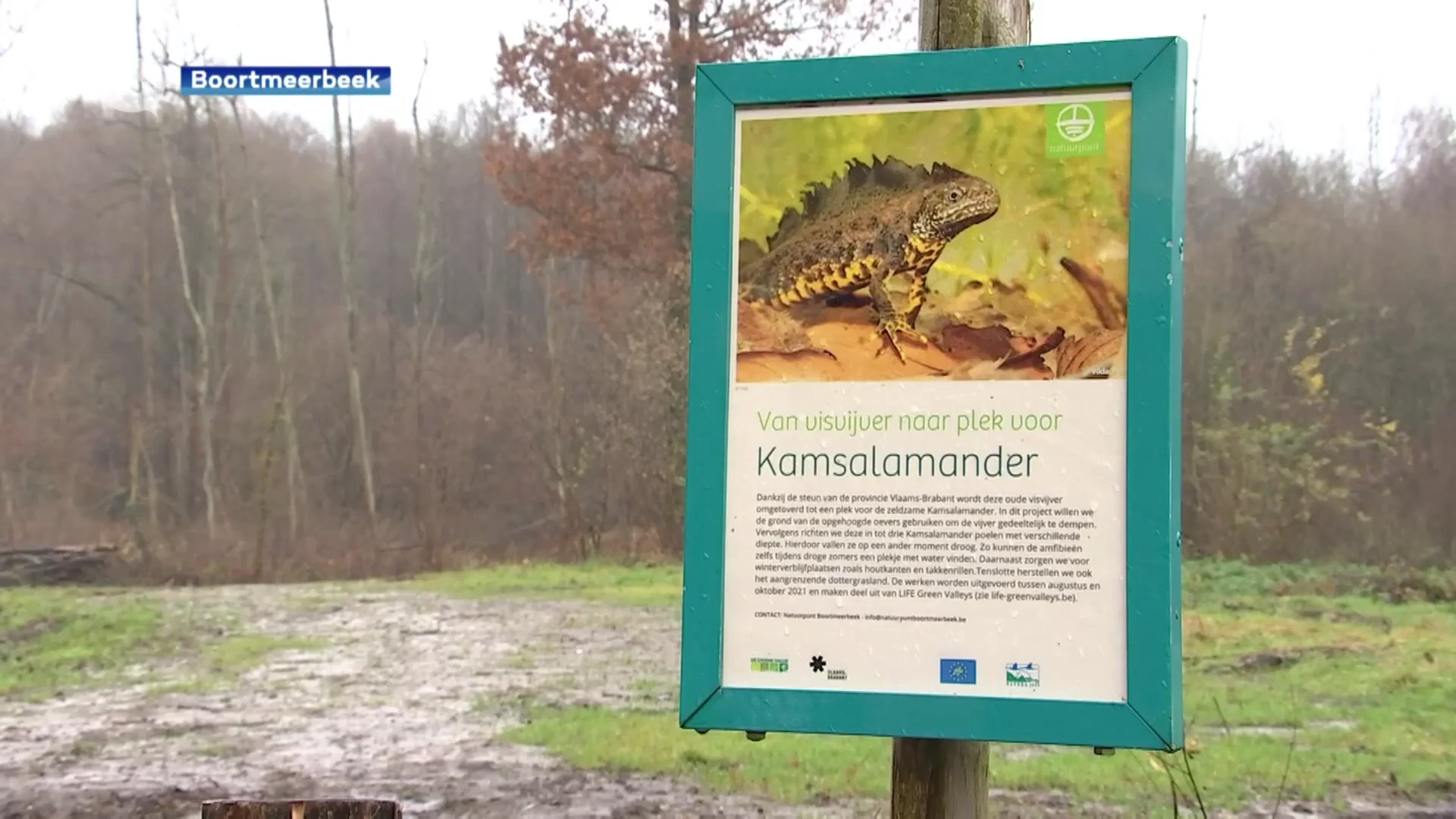 Werken aan amfibieënpoelen in natuurgebied Pikhakendonk in Boortmeerbeek klaar
