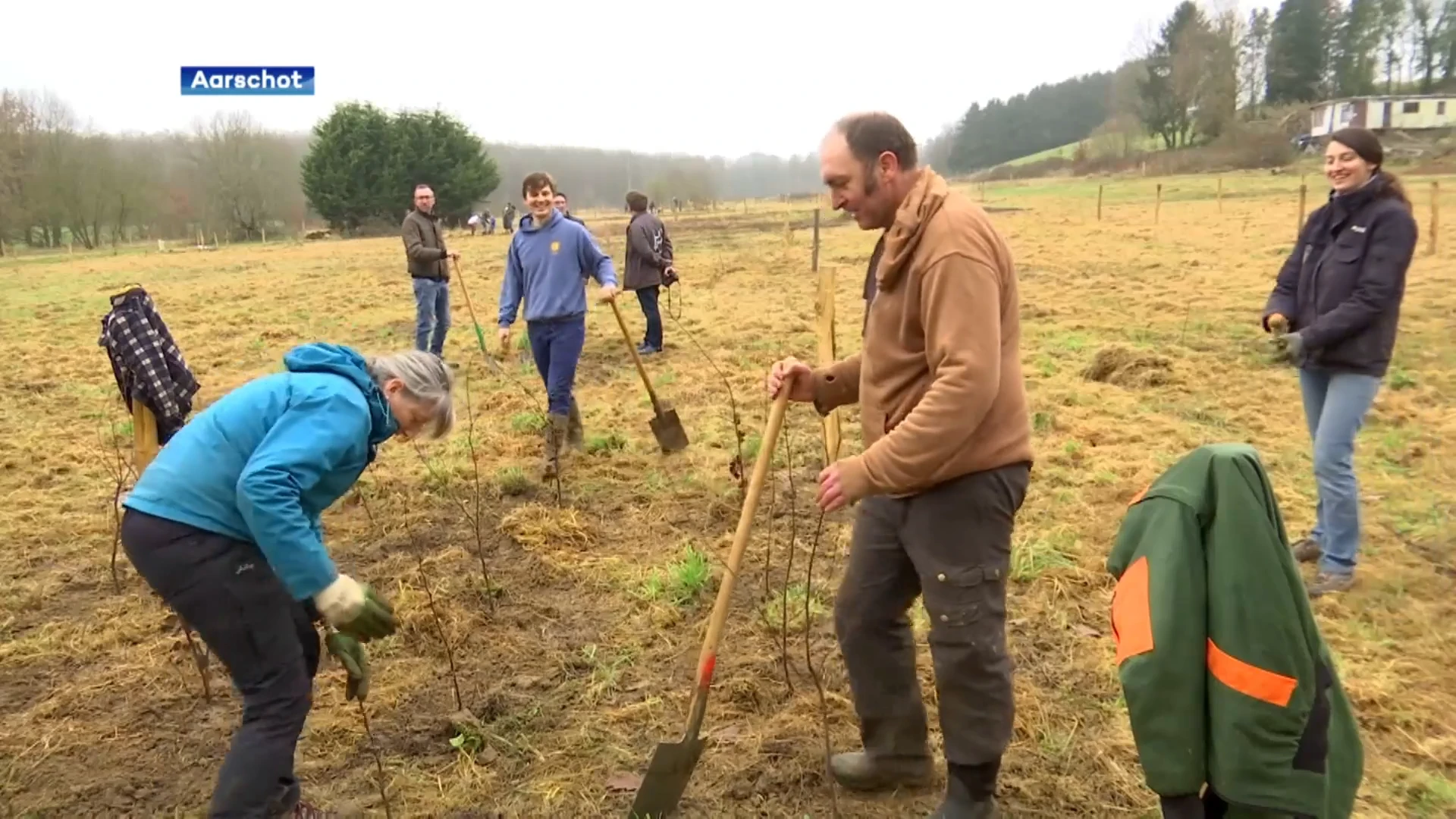 Nieuw bos in Rillaar aangeplant