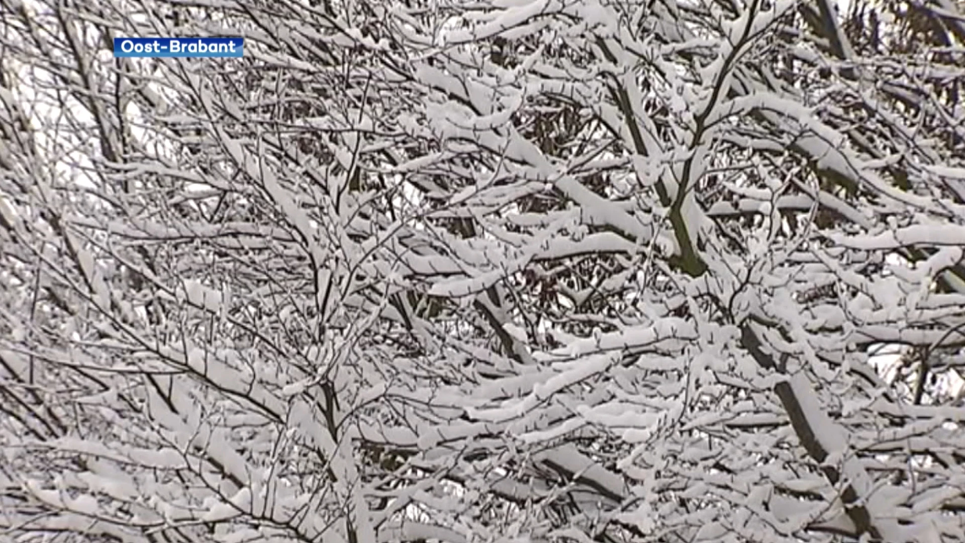 Geen sneeuw op kerst maar misschien wel tijdens oud op nieuw?