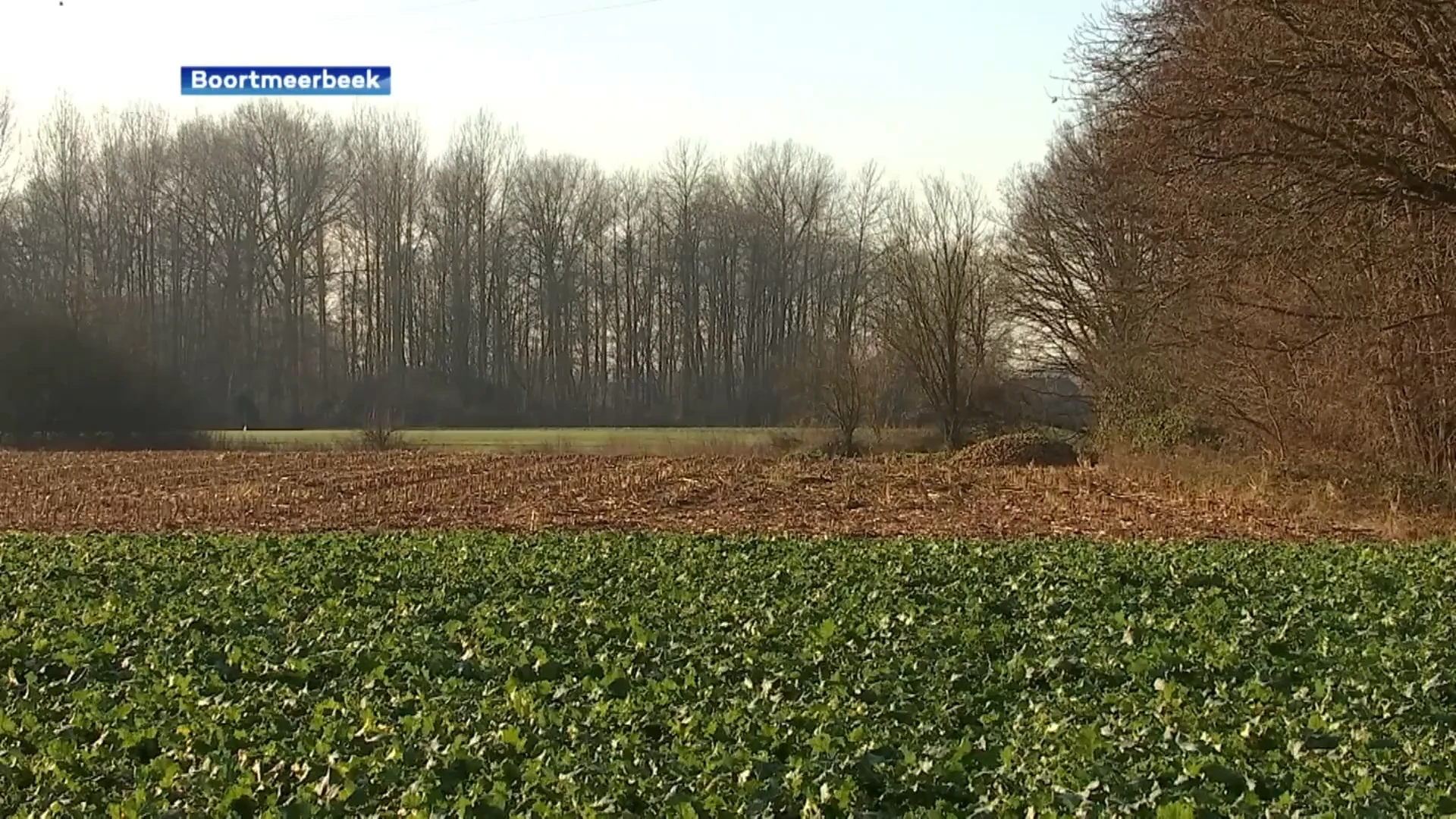 Extra maatregelen in Boortmeerbeek om zowel droogte als wateroverlast te voorkomen.