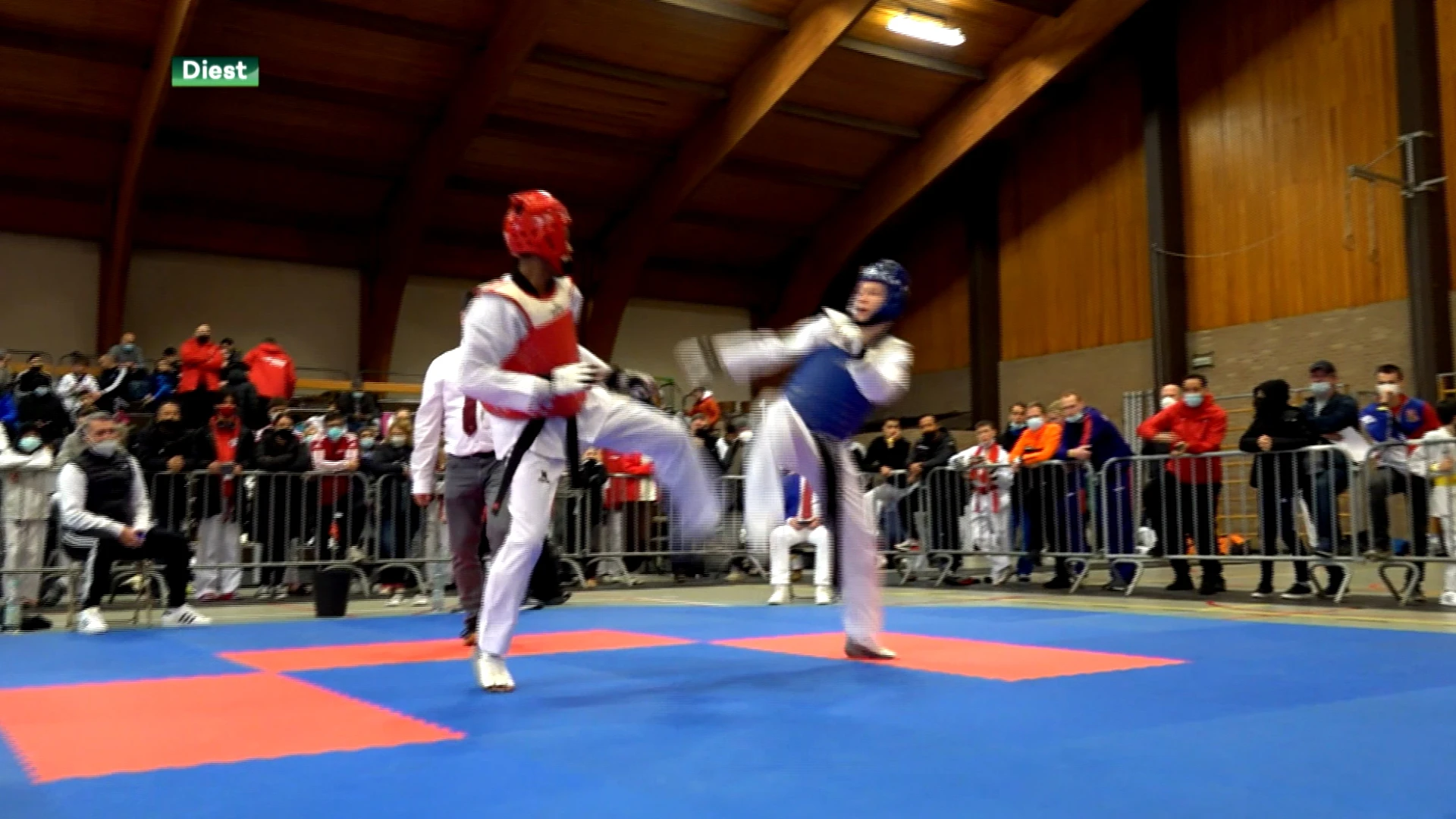 500 taekwondoka's uit alle uithoeken van Europa zakken naar Keumgang Open in Diest af: "Uitstekende ervaring"