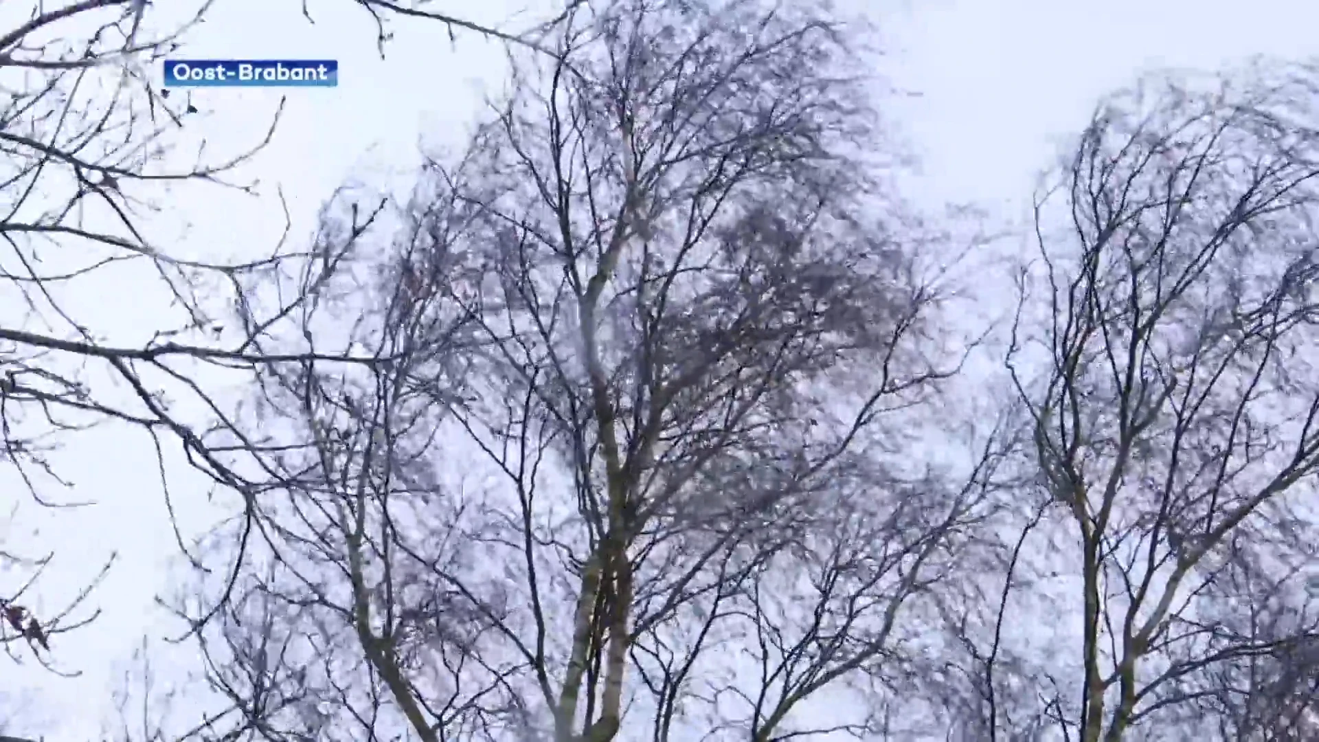 Storm op komst: vannacht en vrijdagmiddag rukwinden tot en met 100 kilometer per uur