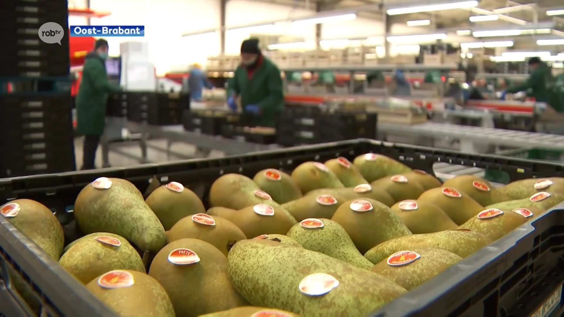 Crisis met Rusland heeft grote gevolgen voor fruittelers in Oost-Brabant