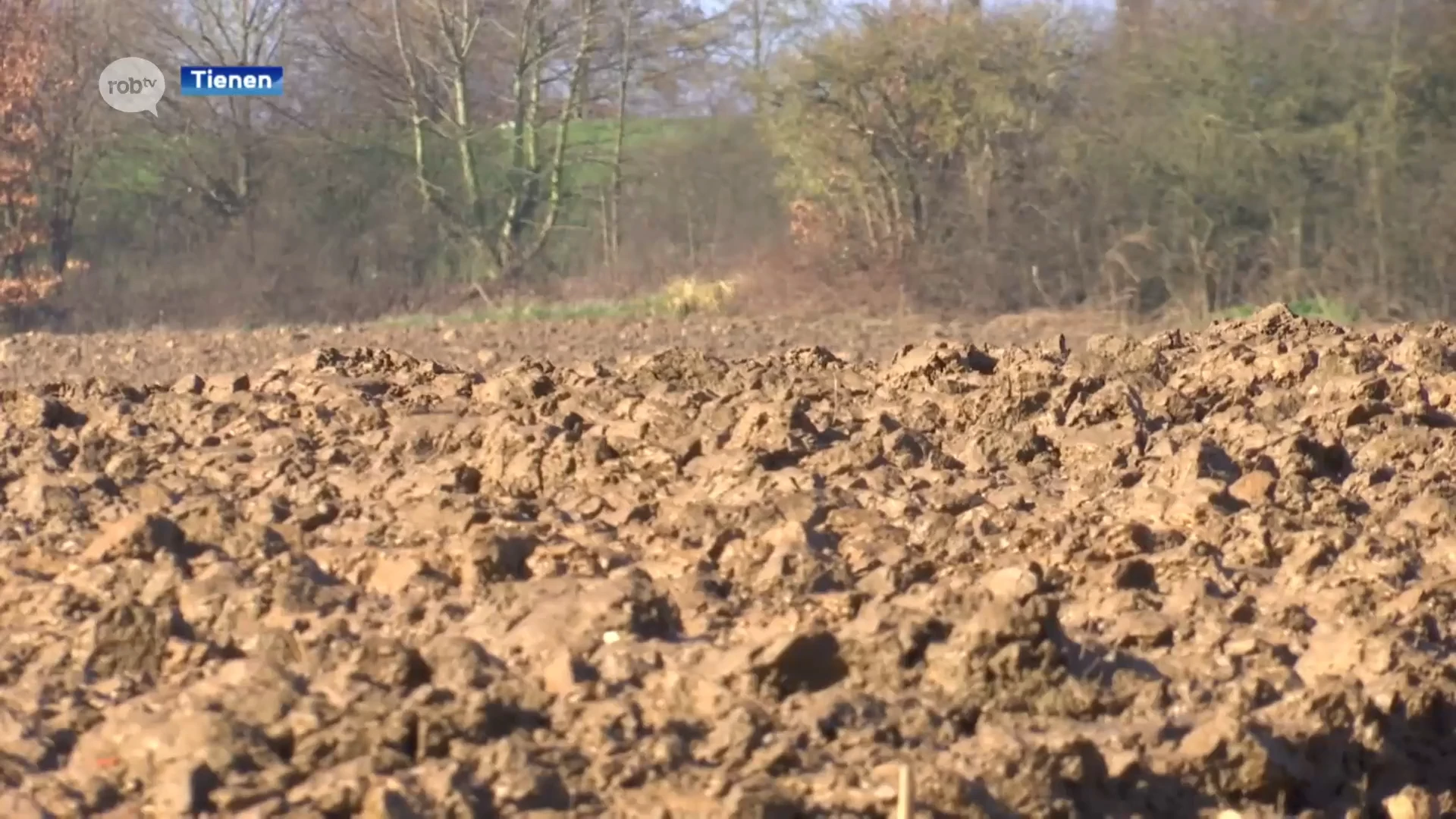 Protest tegen varkensbedrijf in Vissenaken: "Mest uit Hoogstraten wordt hier over de velden verspreid"