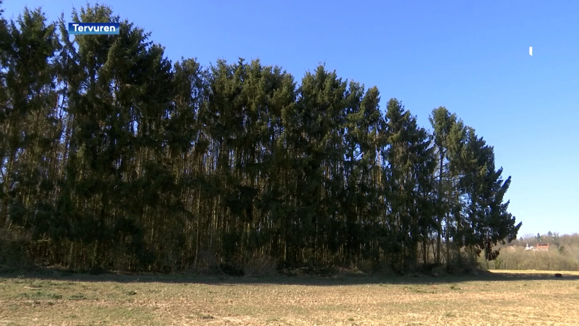 Nieuw stukje bos in de maak in Vossem