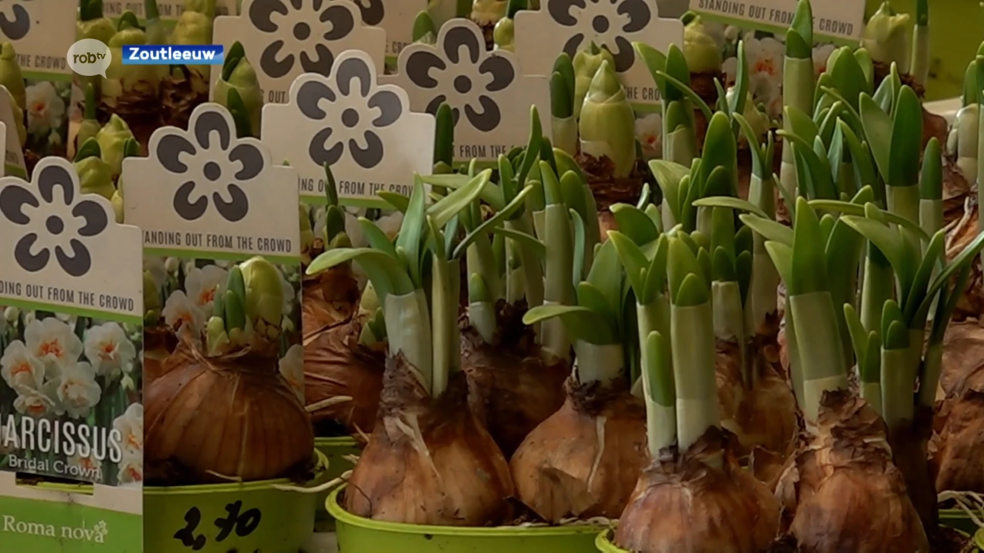 Tuincentra zien eerste plantjes over de toonbank gaan