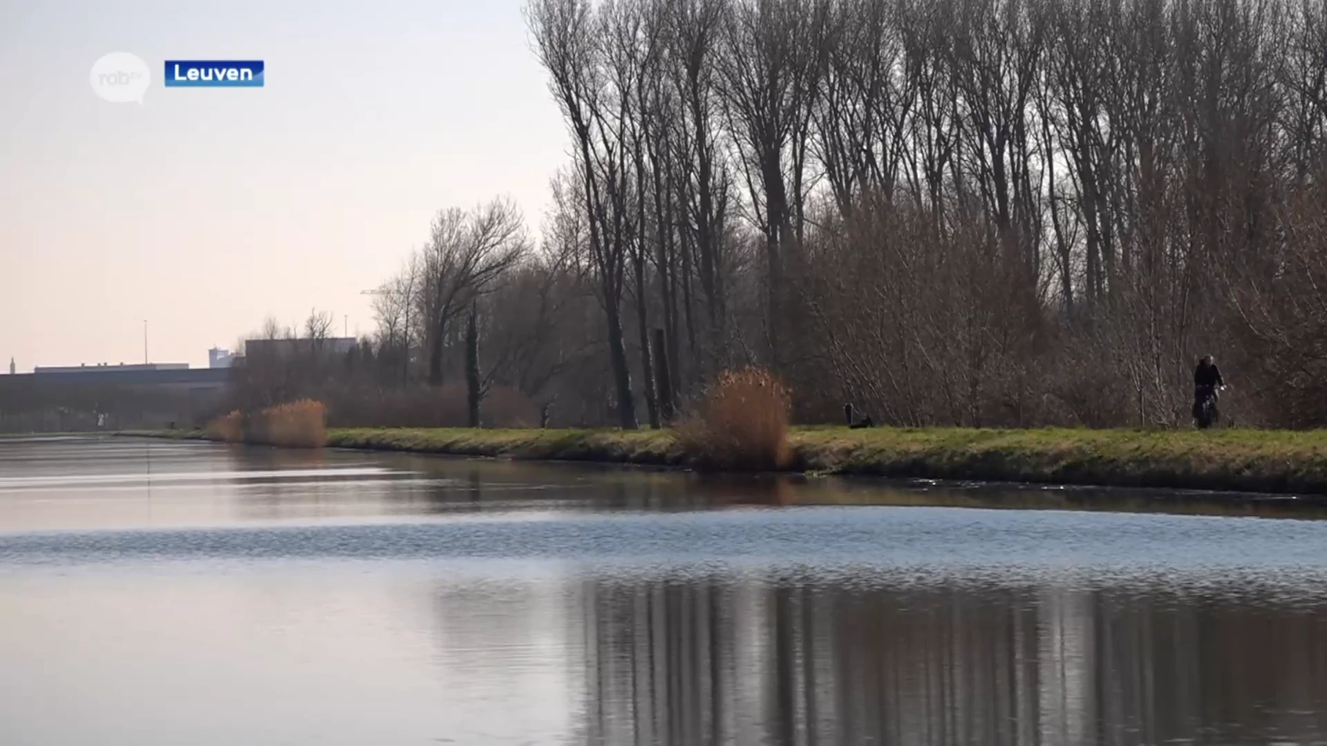 Stad Leuven wil tegen eind 2024 minsten 10.000 nieuwe bomen planten