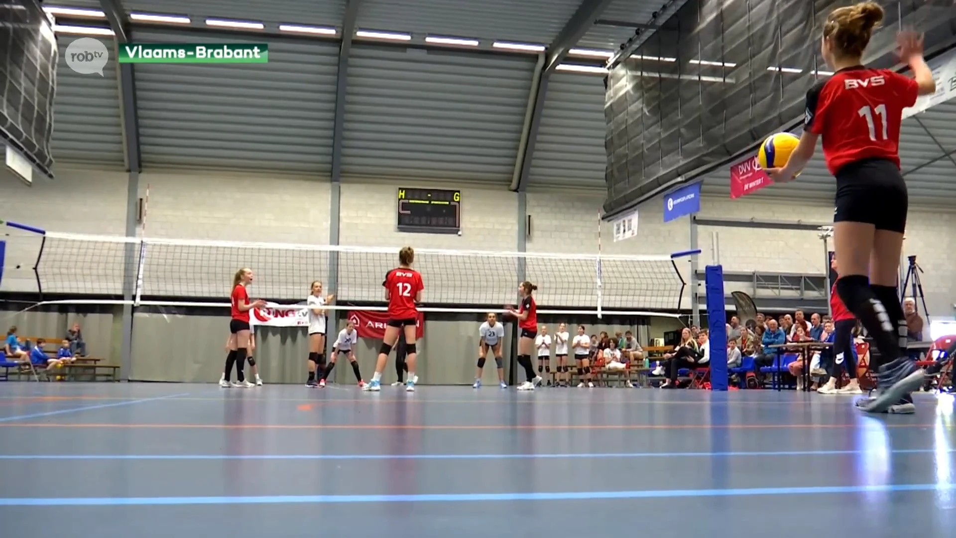 Heel wat regioploegen present op bekerfinales Vlaams-Brabant volleybal: "Ideaal voor jongeren die carrière ambiëren"