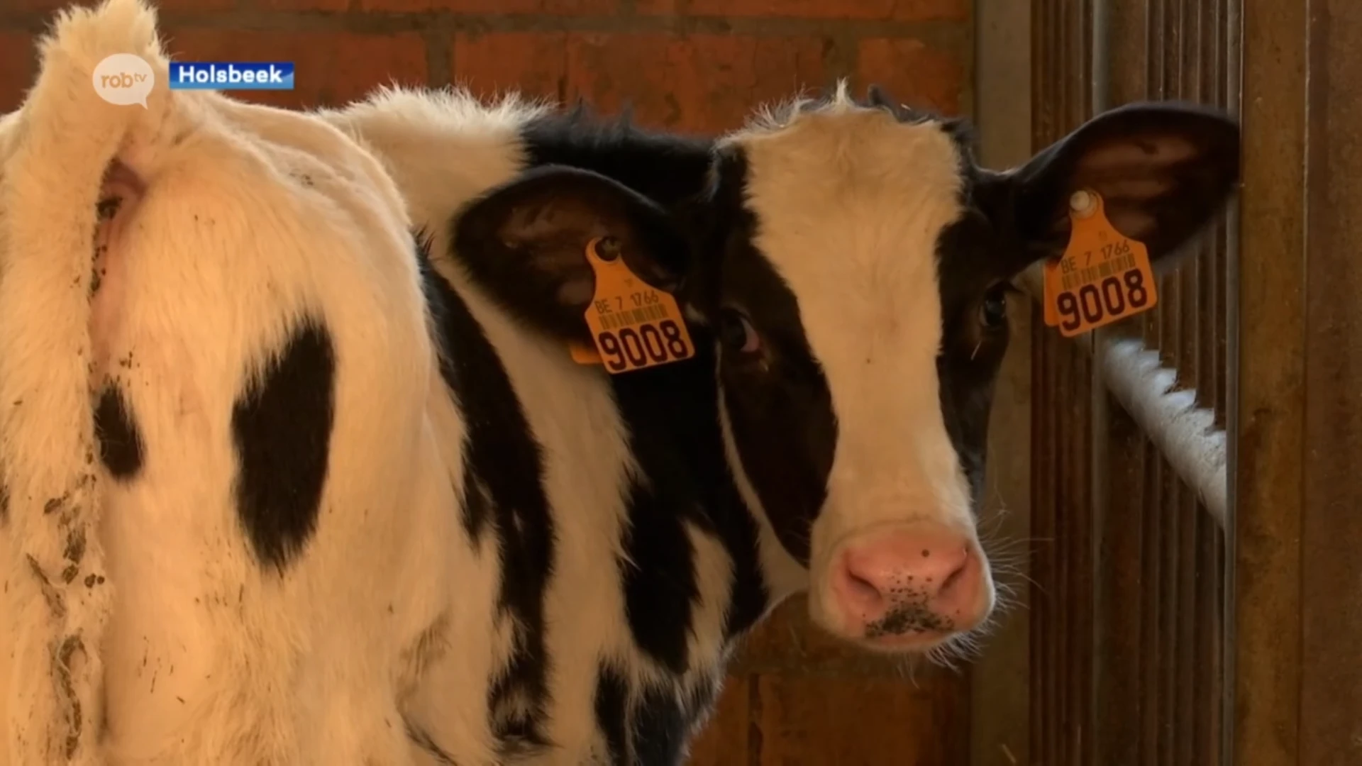 Boeren krijgen 20 cent per liter meer voor melk dan vorig jaar, maar "ook de kosten zijn enorm gestegen"