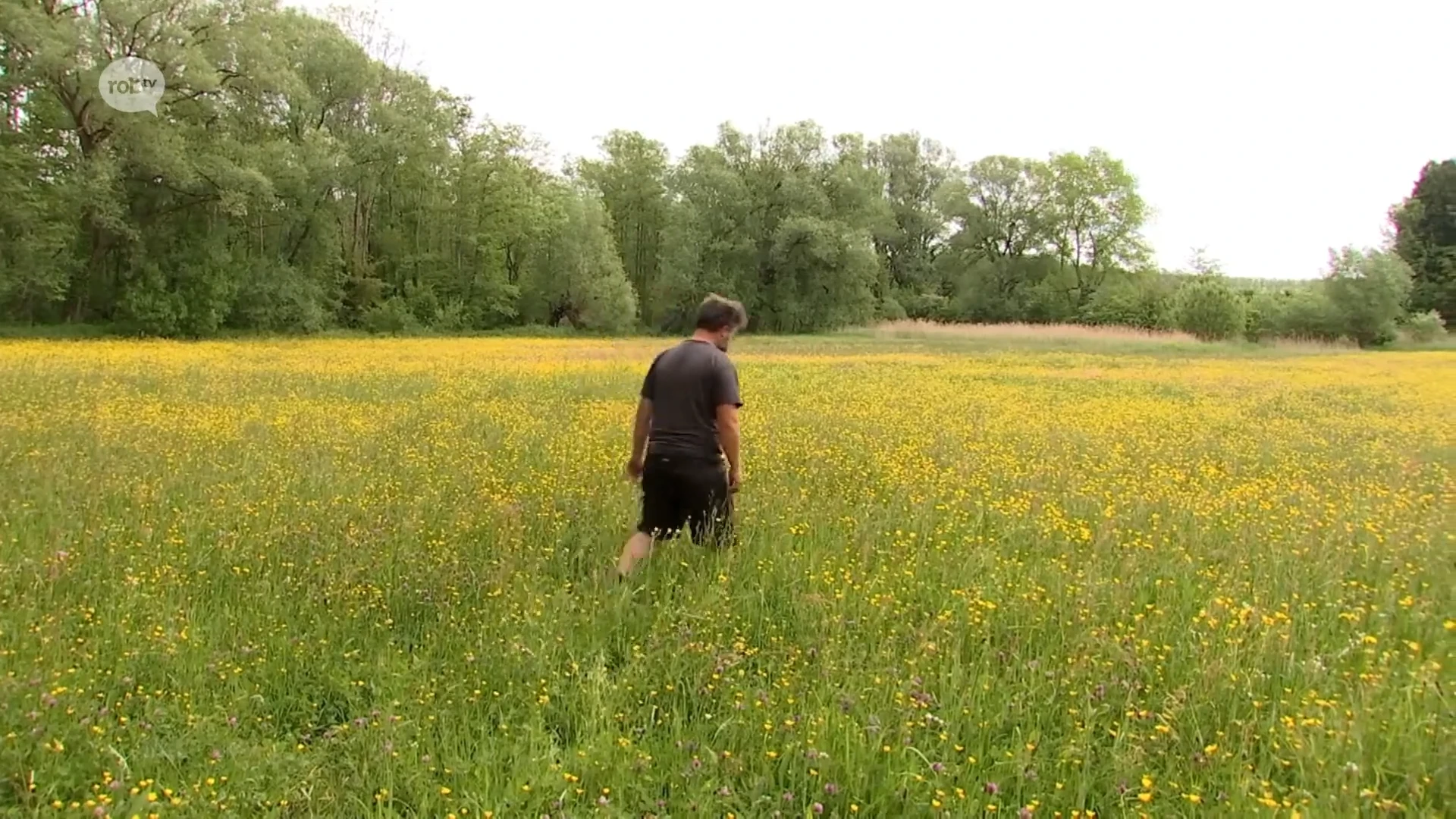 Jaarlijkse orchideeënwandeling door prachtig bloemenveld met dank aan pioniers