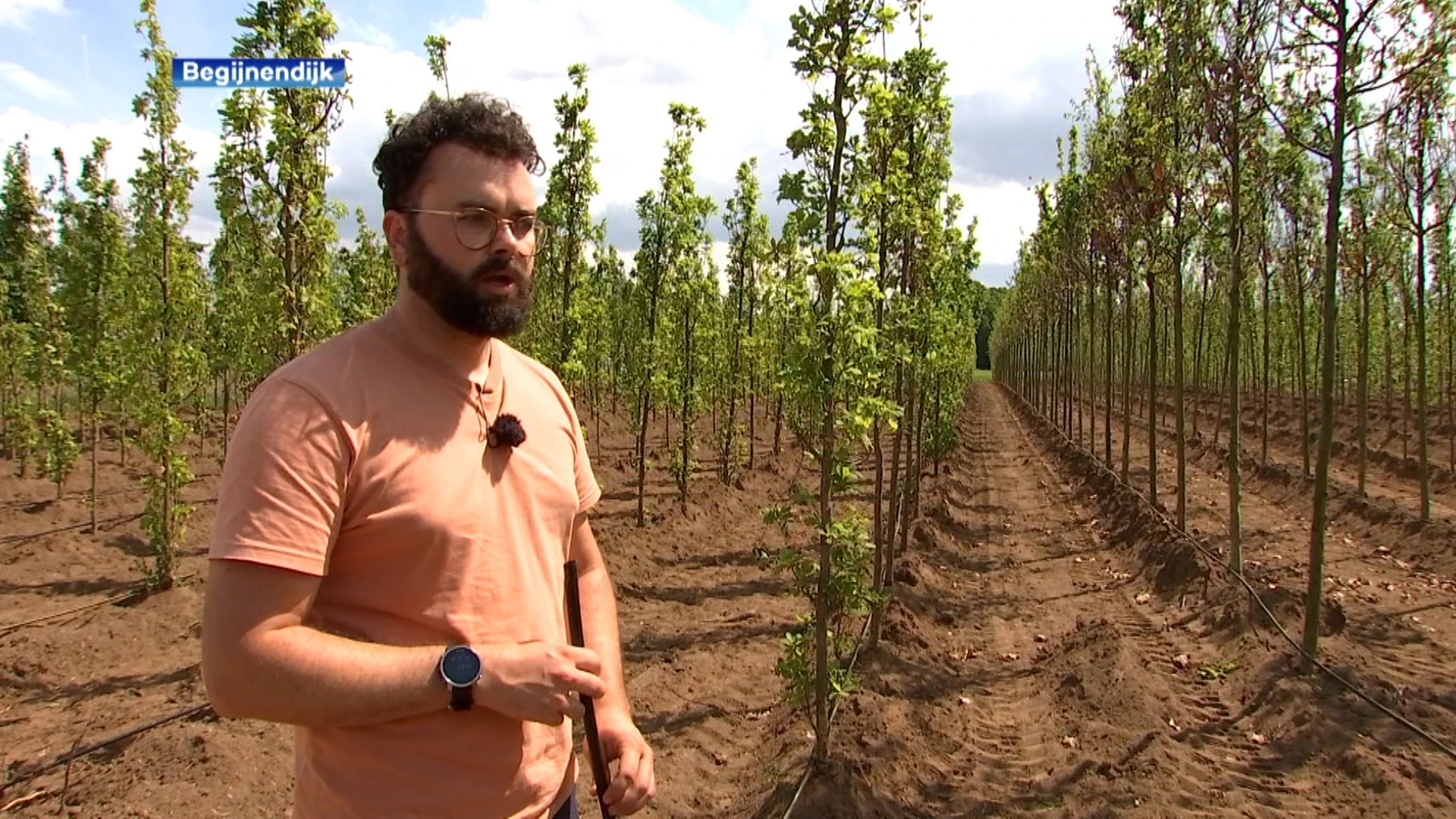 Ongeziene droogte zet planten- en boomkwekerijen aan het denken: "We gebruiken maar een vijfde van de hoeveelheid water"