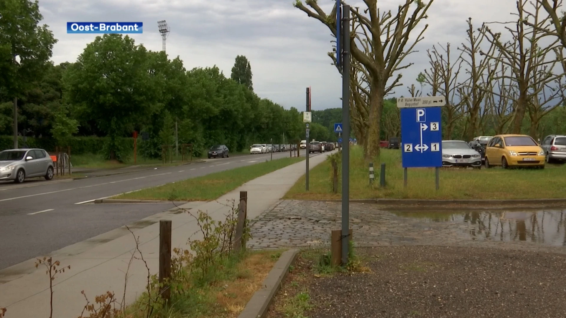 Onweer zorgt nergens voor echt grote schade in Oost-Brabant: "Komende dagen blijft het wellicht ook droog"