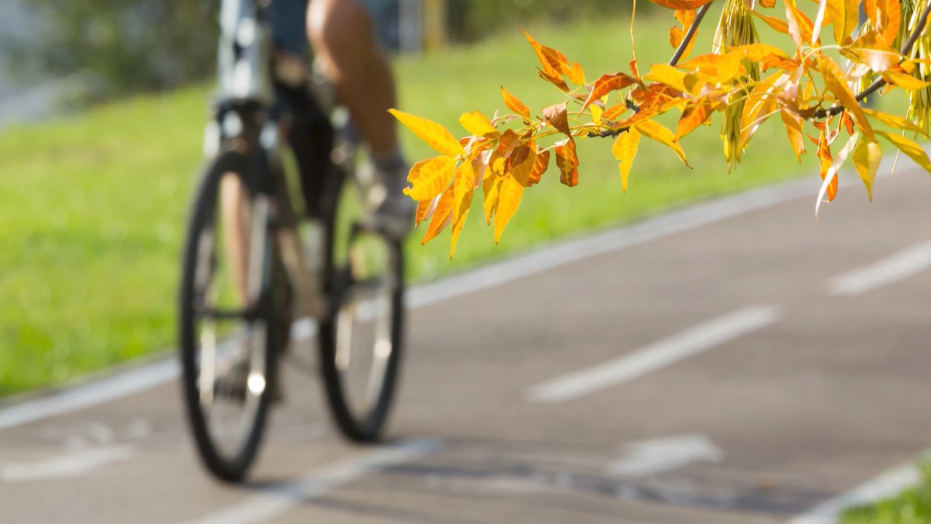 Agentschap Wegen en Verkeer plaatst 4 nieuwe 'fietstelpunten' in onze regio