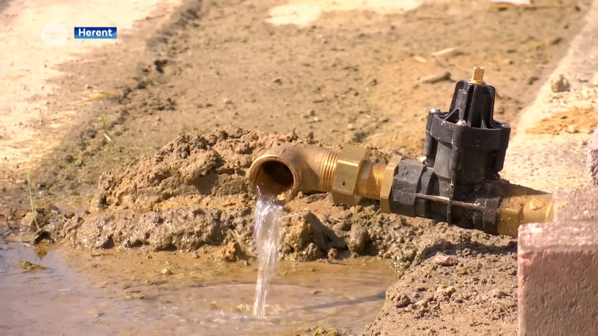 Problemen met waterleiding op Wijgmaalsesteenweg in Herent: drinkwater stroomt rechtstreeks riool in