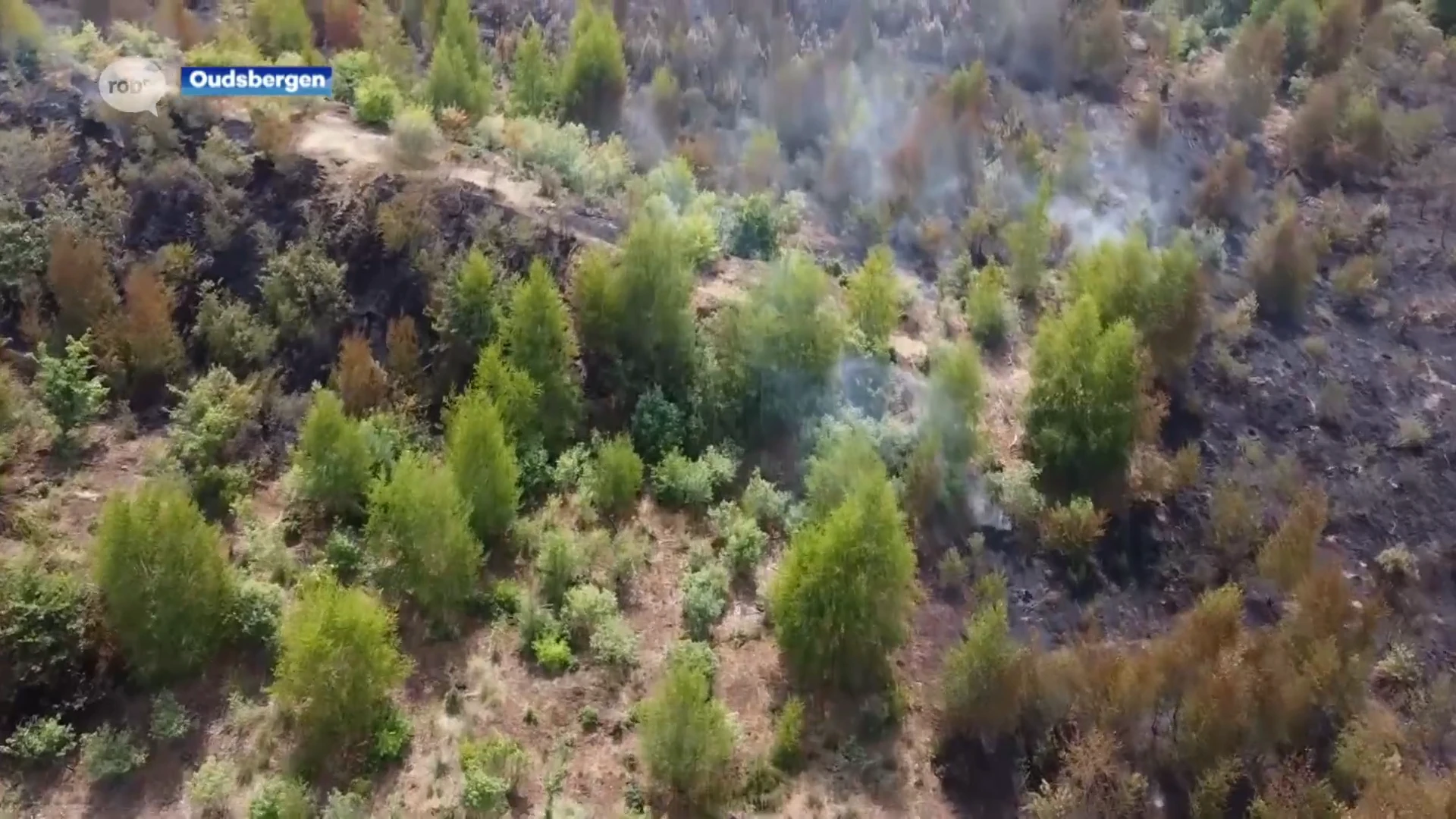 Chiro Binkom op kamp vlakbij grote brand in Oudsbergen, maar kamp kan verdergaan