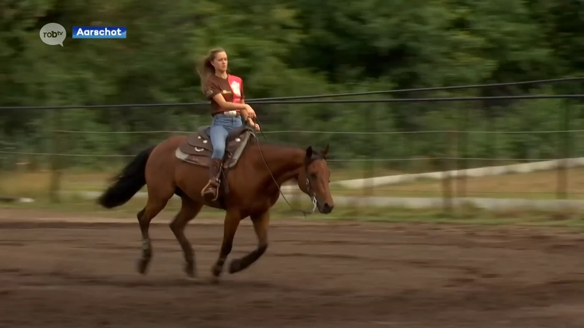 Wolfsdonkse Hayley Verlinden (14) is Europees kampioene Reining: "Volgende doel is de wereldtitel"