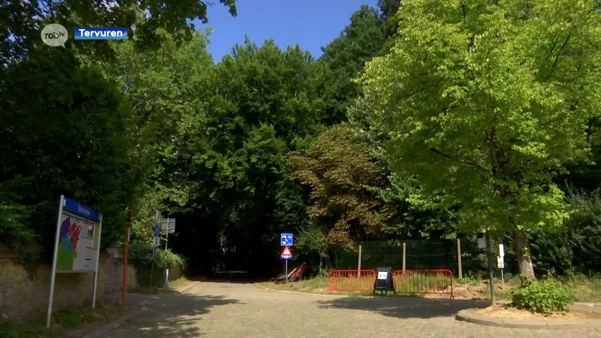 Natuurpunt Tervuren verzet zich tegen ontbossing langs de Smisstraat: "Dit bos is te belangrijk"