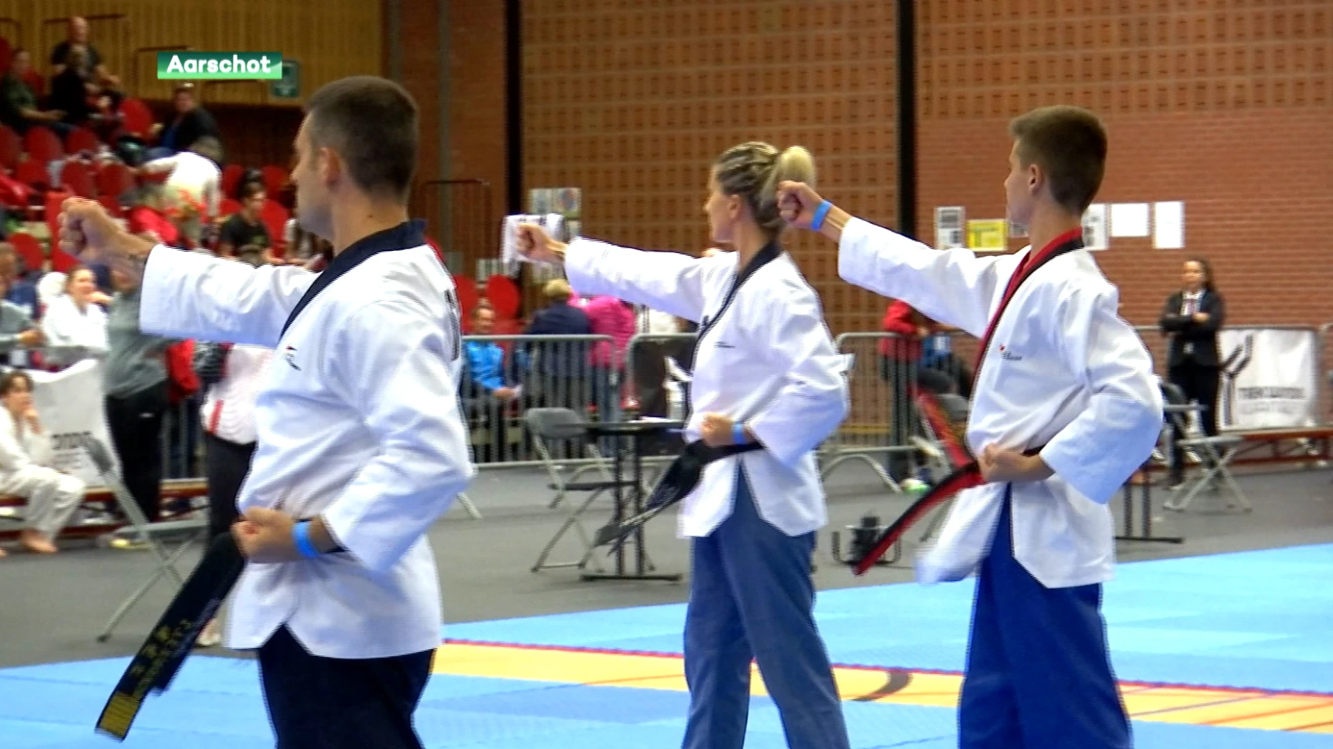 Taekwondo boven in Aarschot: 650 atleten uit binnen- en buitenland geven beste vanzichzelf op Open ILYO