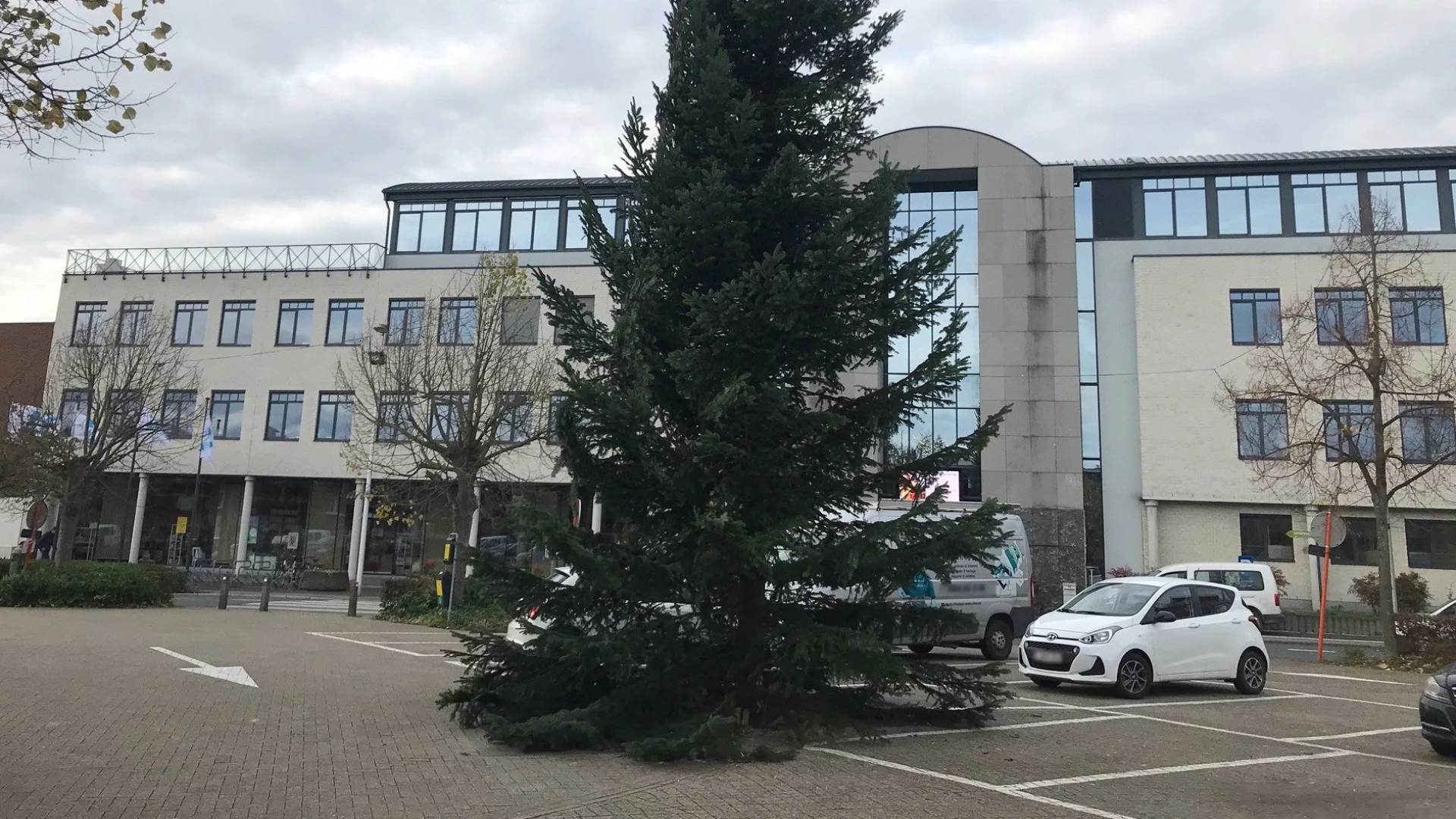 Net november... maar Kortenberg plaatst nu al een grote kerstboom in het centrum