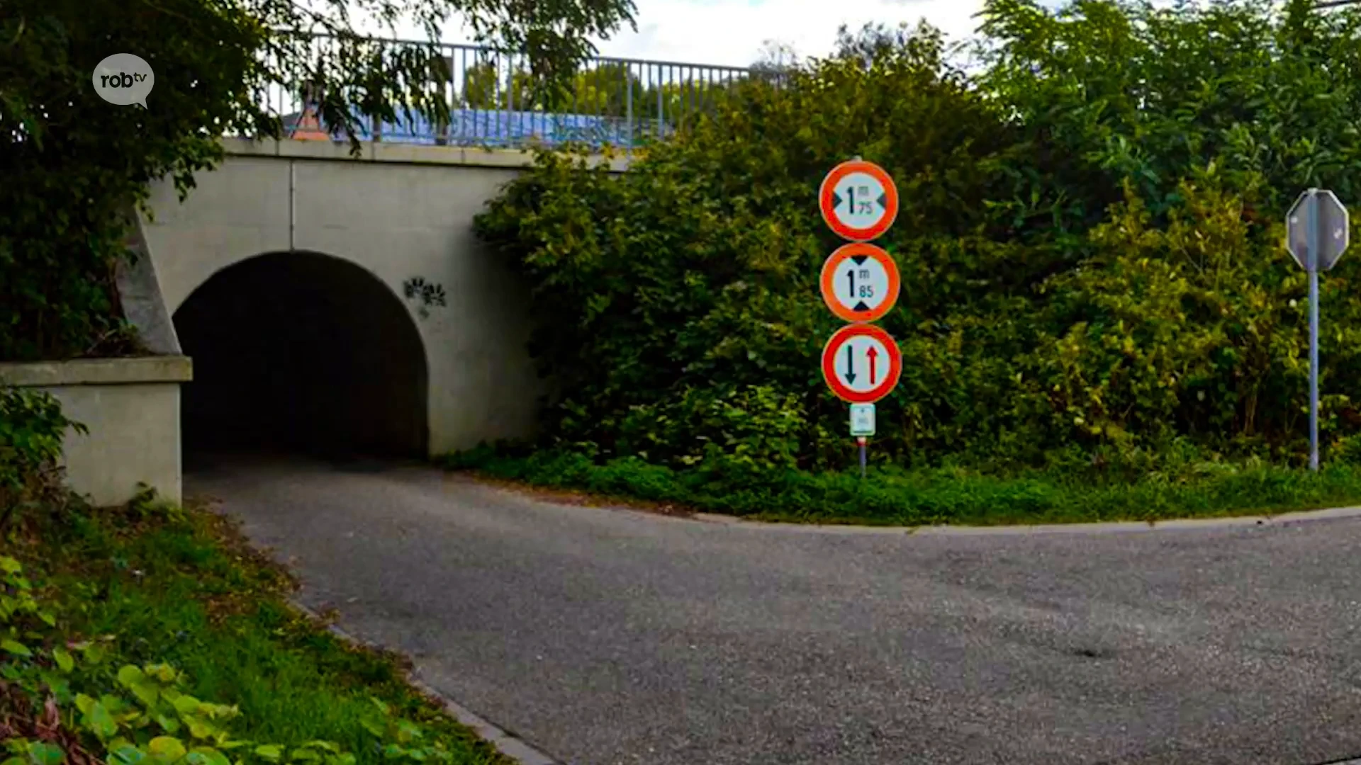 Al zeker drie honden vergiftigd in de Brugstraat in Boutersem: "Schuimen, hevige diarree en organen lagen stil"