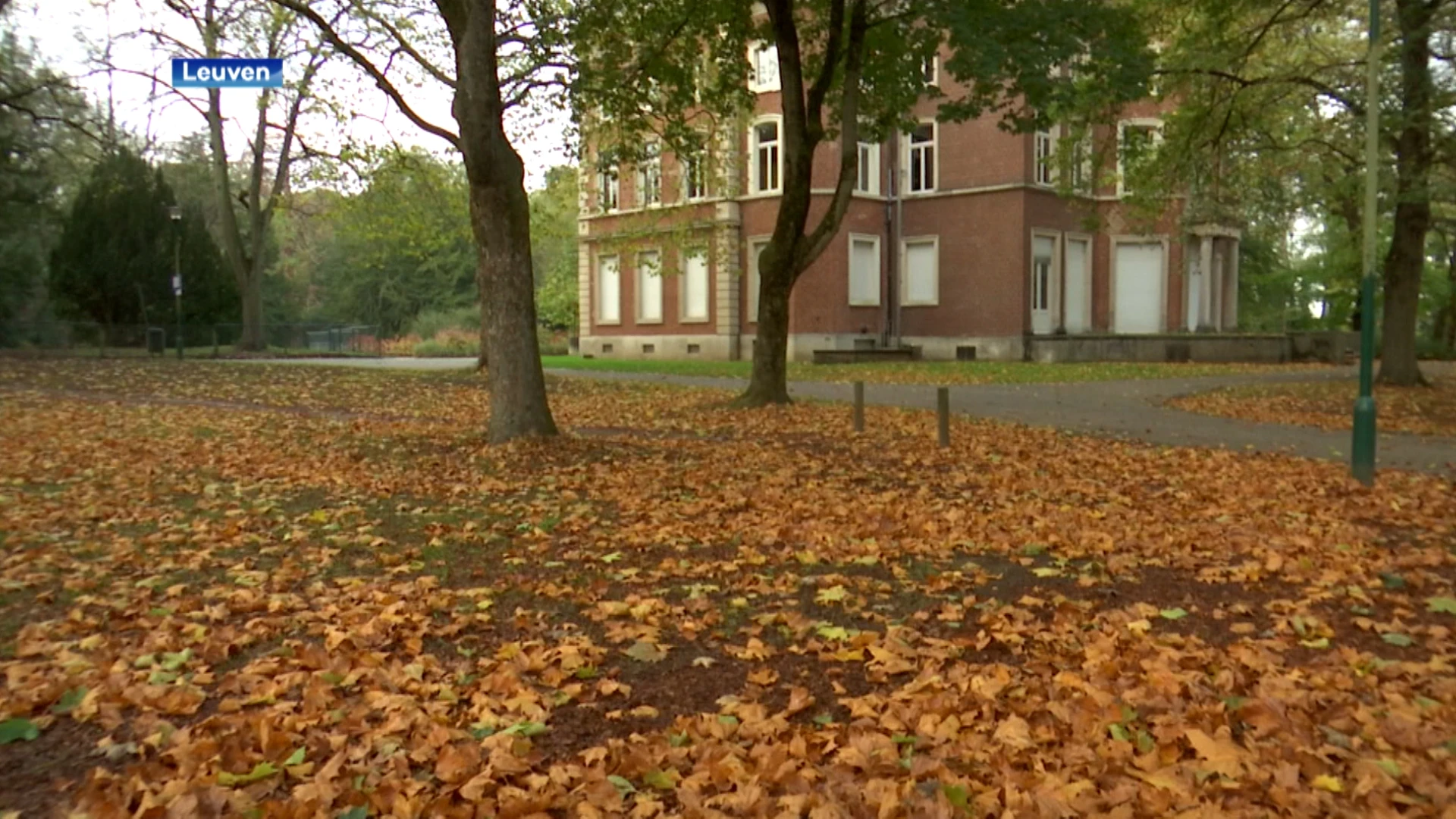 Leuven recycleert herfstbladeren en brengt ze naar buurtmoestuinen en bio-boeren
