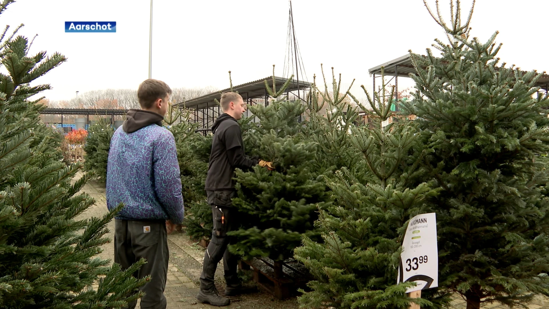 Kunstkerstbomen vliegen de deur uit ondanks hogere prijzen