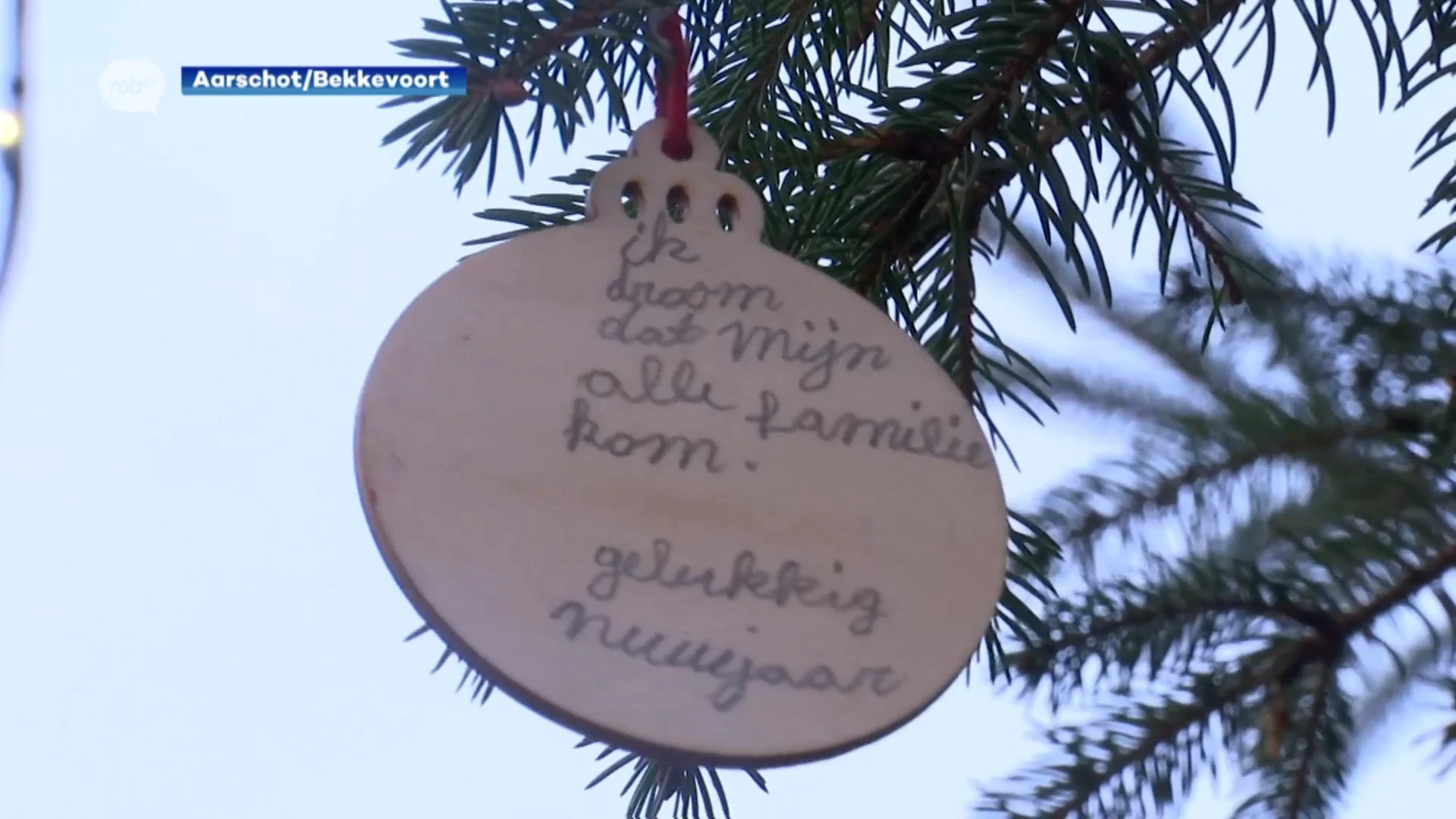 Juf uit Bekkevoort fietst 750 kilometer door Vlaanderen om kerstballen van leerlingen op te hangen