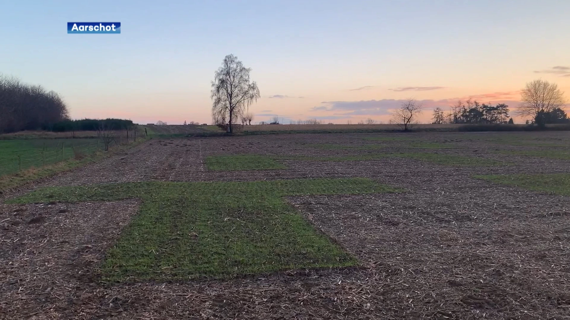 Origineel huwelijksaanzoek in Aarschot, maar enkel te lezen vanuit de lucht