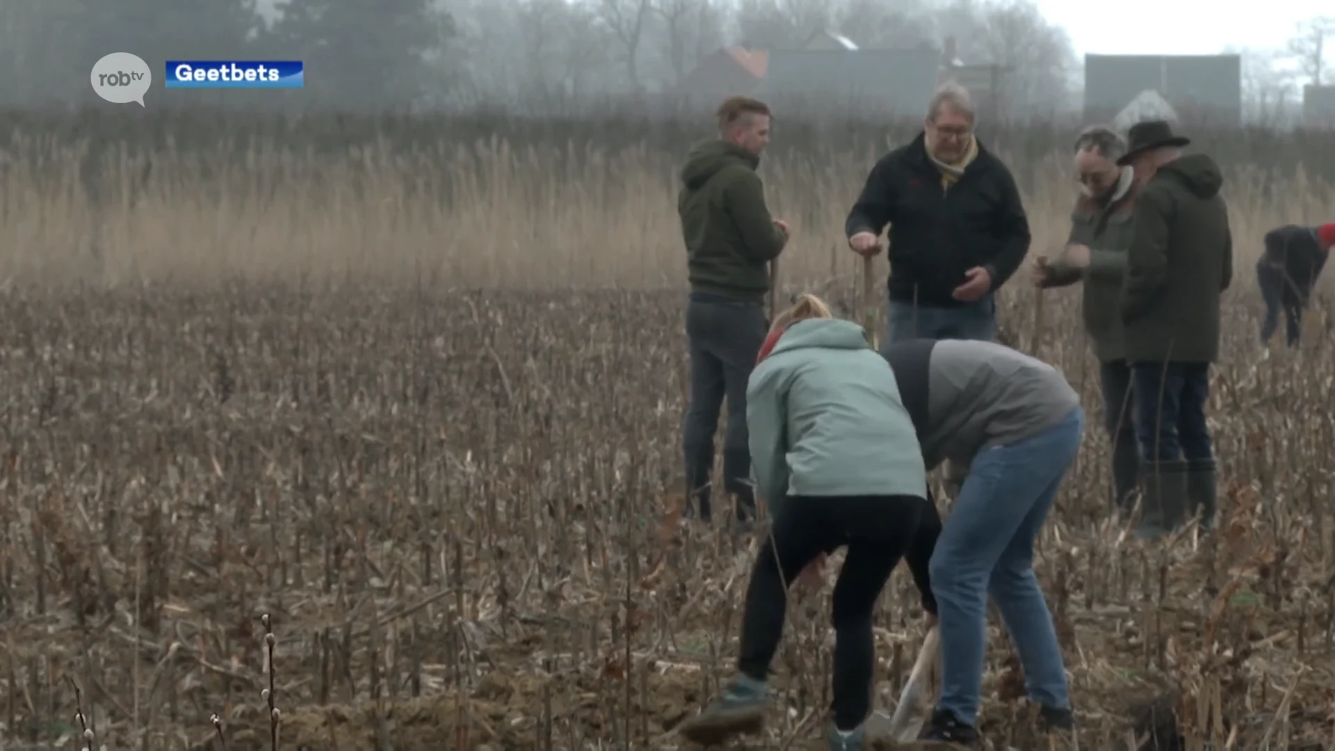 Landbouwers protesteren in Geetbets omdat Natuurpunt bomen plant op landbouwgrond: "Wij zijn niet tegen meer bomen, maar ze moeten op de juiste plaats komen"