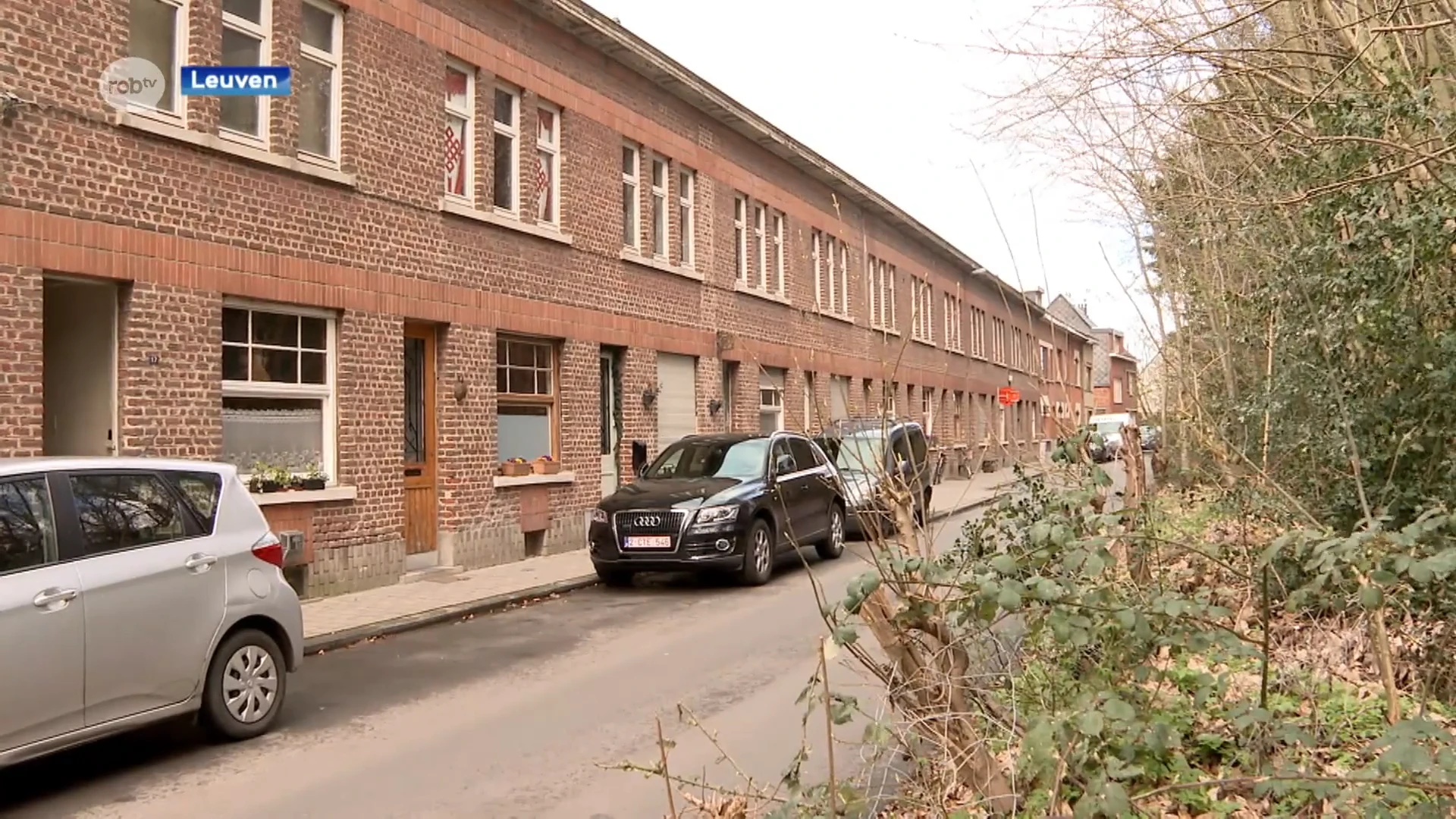 Leuven koopt 18 woningen in Grensstraat in Kessel-Lo om er budgethuurwoningen van te maken