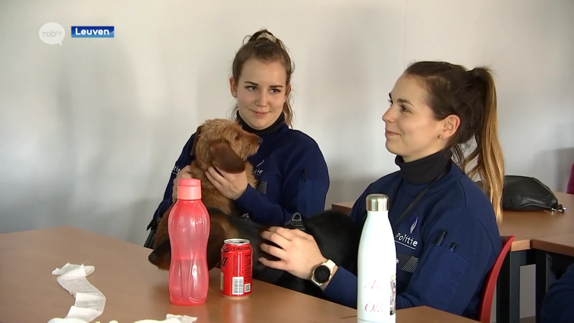 Politie Leuven werft "diereninspecteur" aan en organiseert opleiding dieren-EHBO voor korps: "Rust uitstralen is belangrijk"