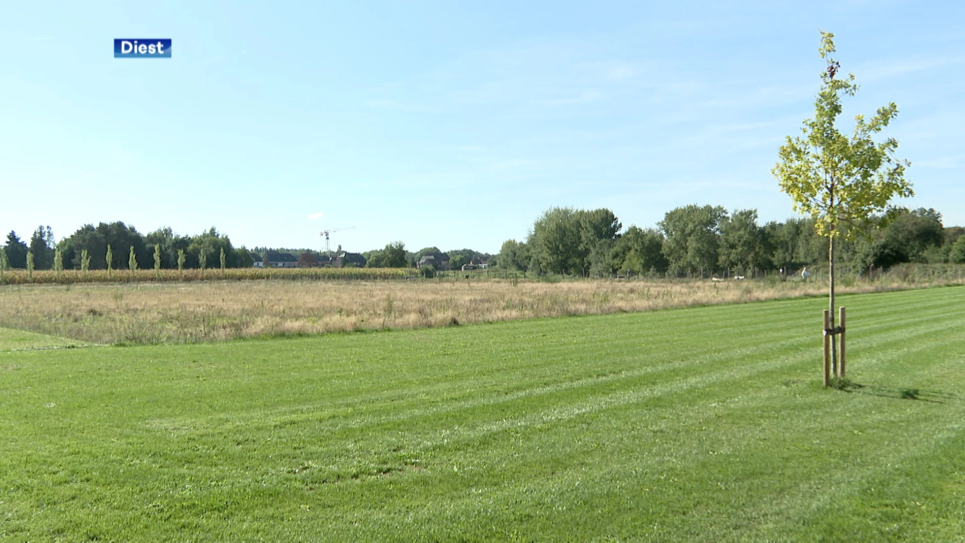 Kunstgrasveld aan Oosterlinde in Schaffen speelklaar in september