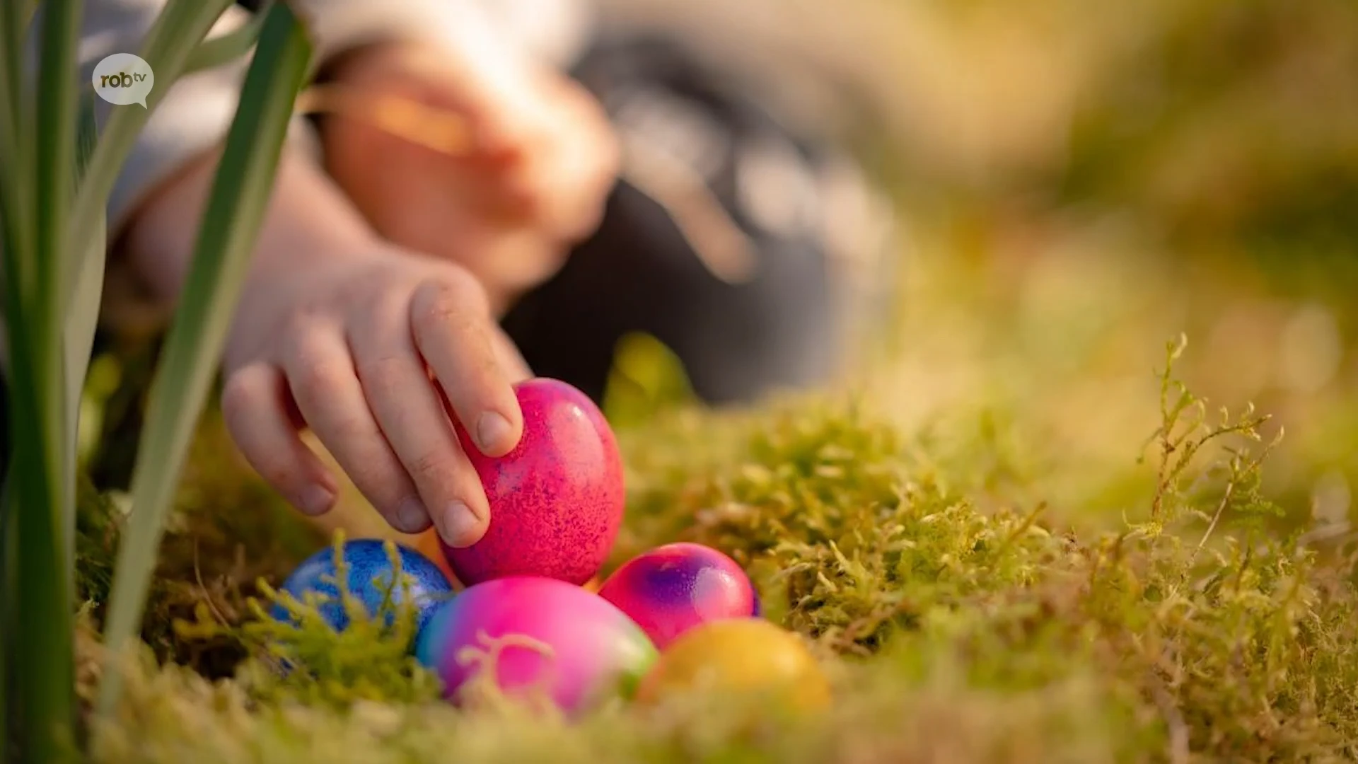 OVERZICHT: hier kunnen kinderen dit weekend paaseitjes rapen in onze regio