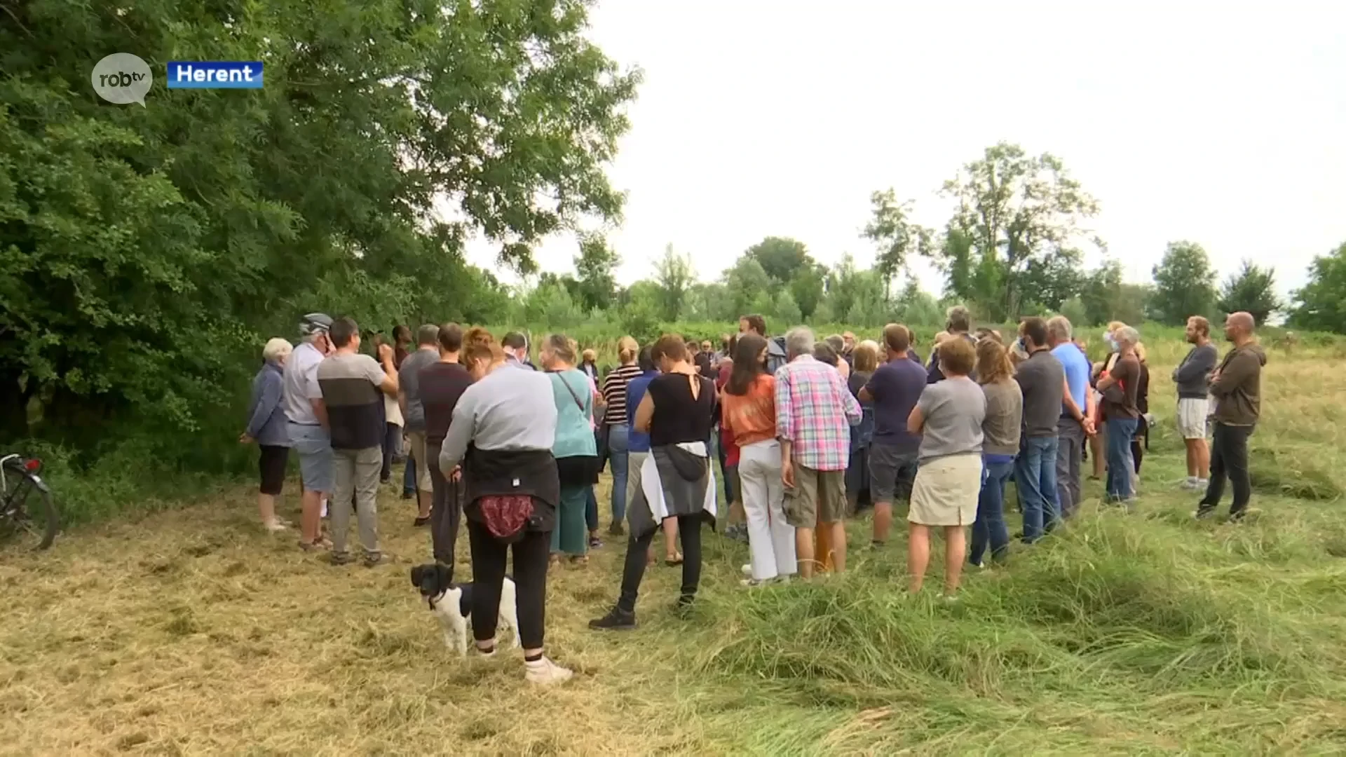 Klacht van inwoners tegen Herents schepen Forceville over bomenkap d'Hoogvorst door Leuvense rechtbank onontvakelijk verklaard