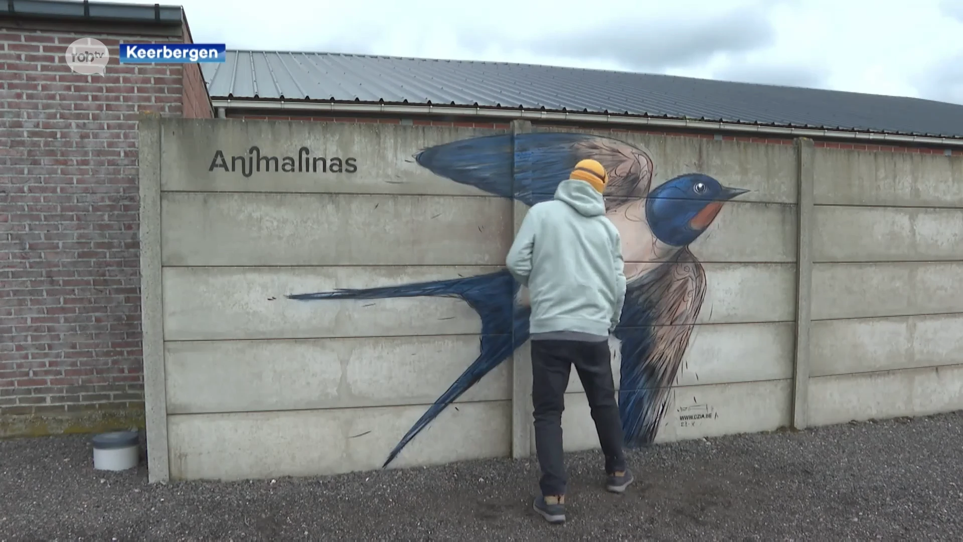 Dzia maakt opnieuw prachtige graffitiwerken in Keerbergen en Haacht