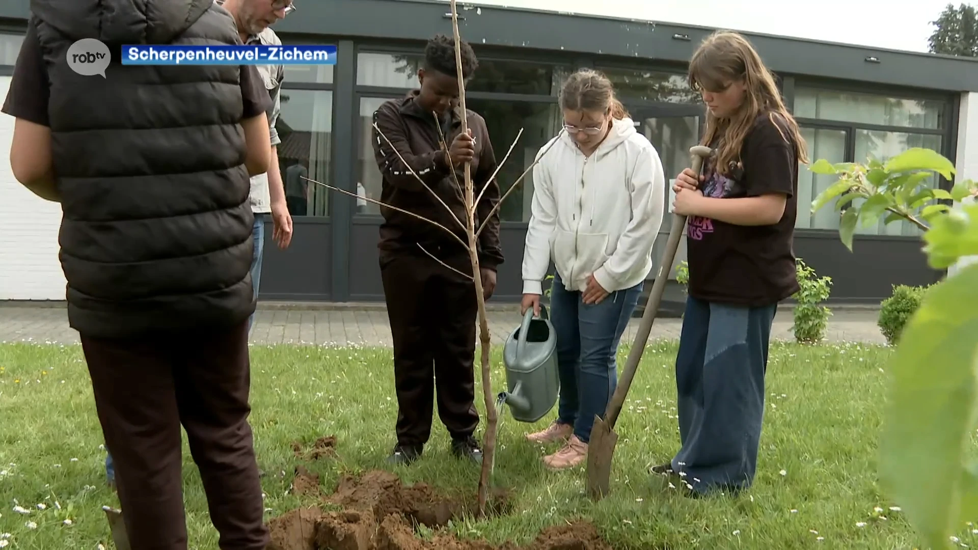 Leerlingen buitengewoon onderwijs Scherpenheuvel planten 17 kersenbomen op speelplaats