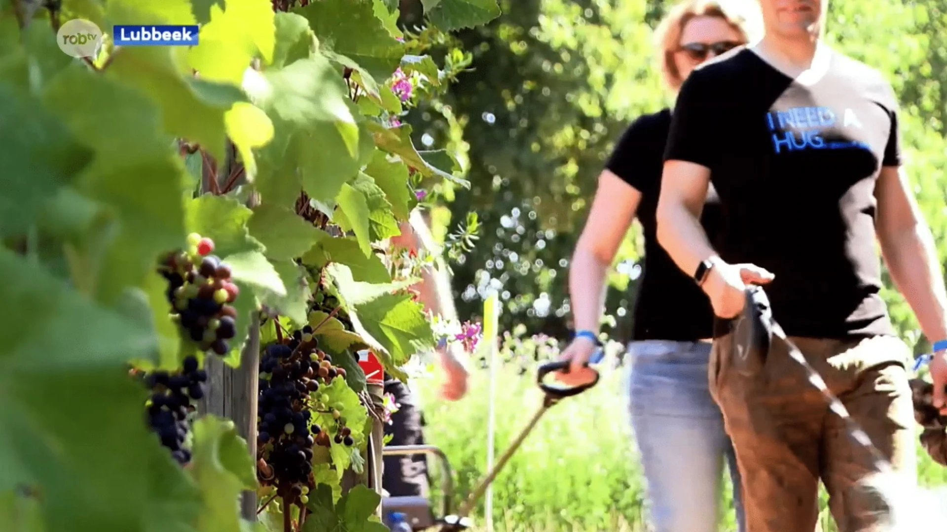 Wijn proeven combineren met een mooie wandeling kan op 27 augustus tijdens de tweede Wine Walk & Run in Linden