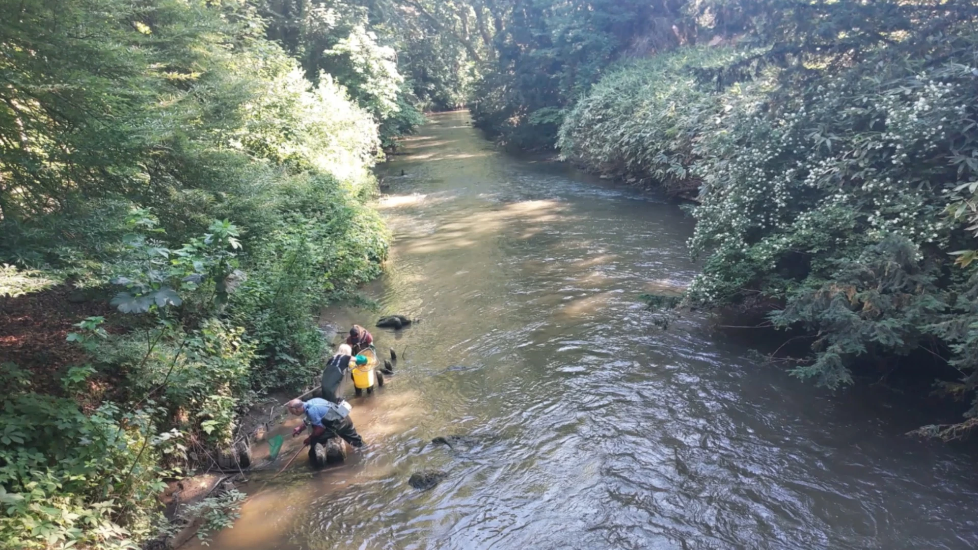 KU Leuven telt ruim 1200 diersoorten tijdens Bioblitz: vandaag Dijle en vijvers Arenberg aan de beurt