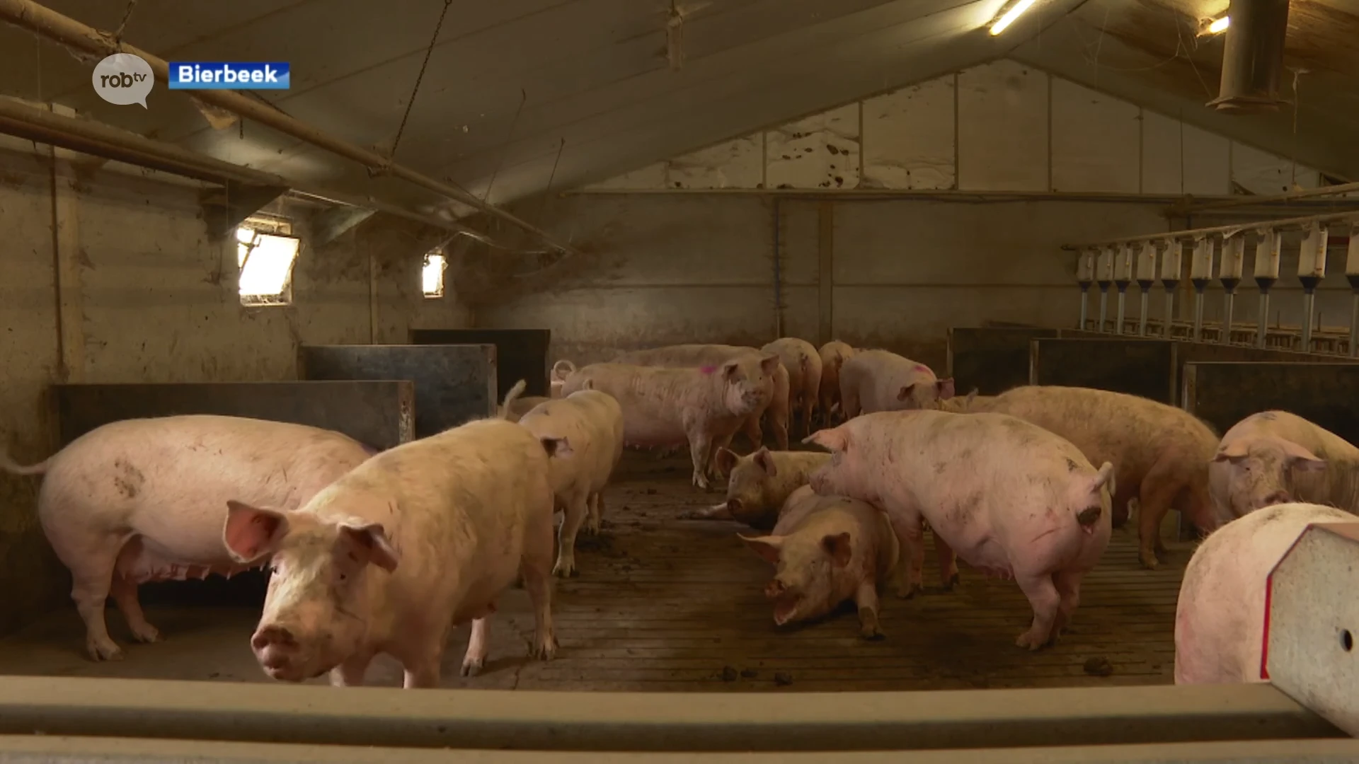 Deadline uitkoopregeling stikstofakkoord verstreken, boer Van Hulst: "Vergoeding is te laag, ik doe door"