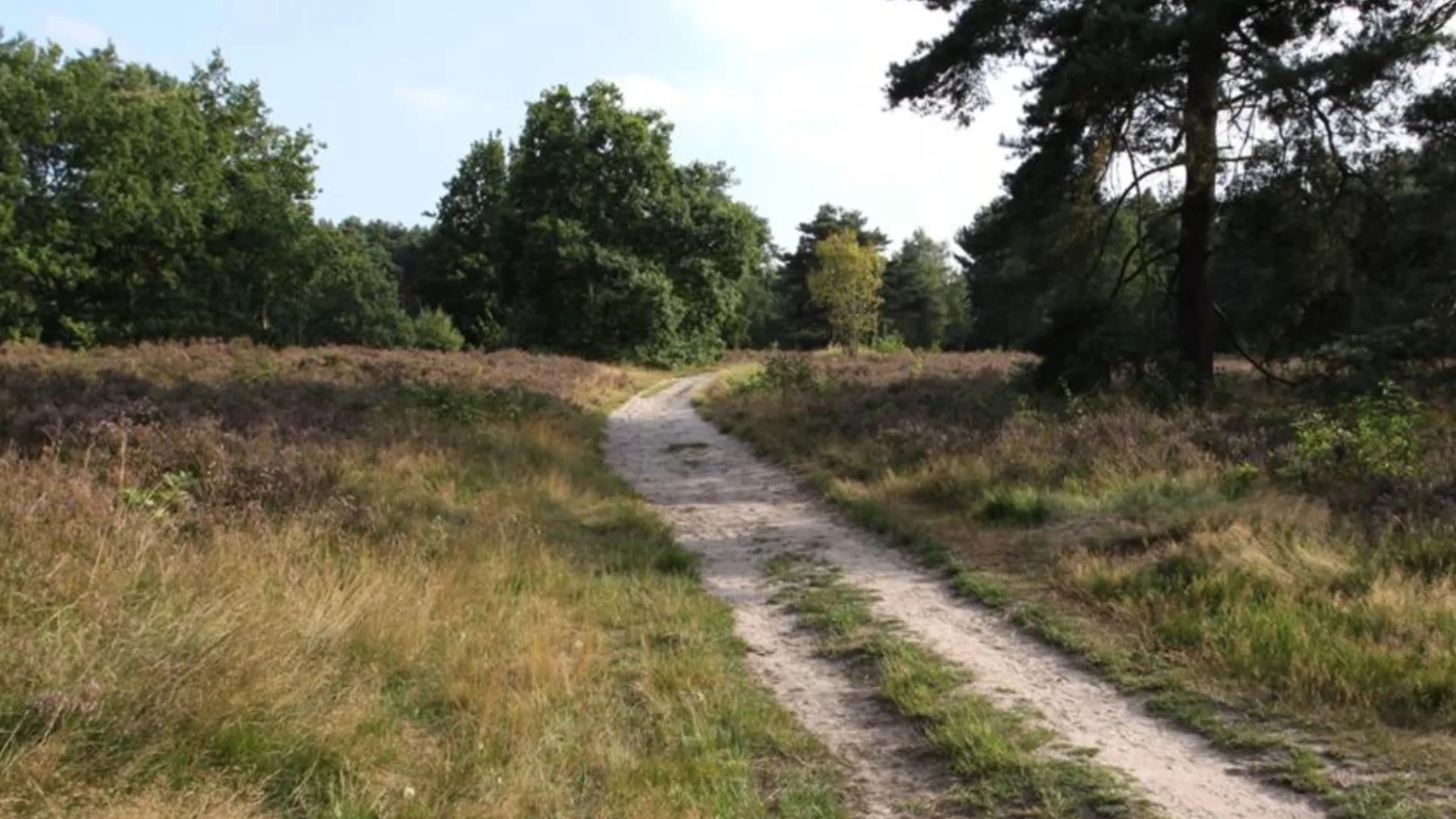 Keerbergse heidegebieden weer geopend, hoogste risico op brand geweken