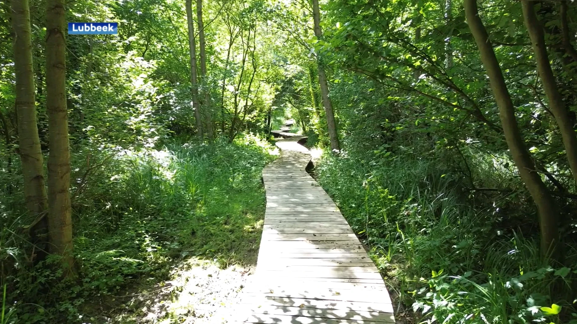 Wandelpad 'De Spicht' vernieuwd in Lubbeek