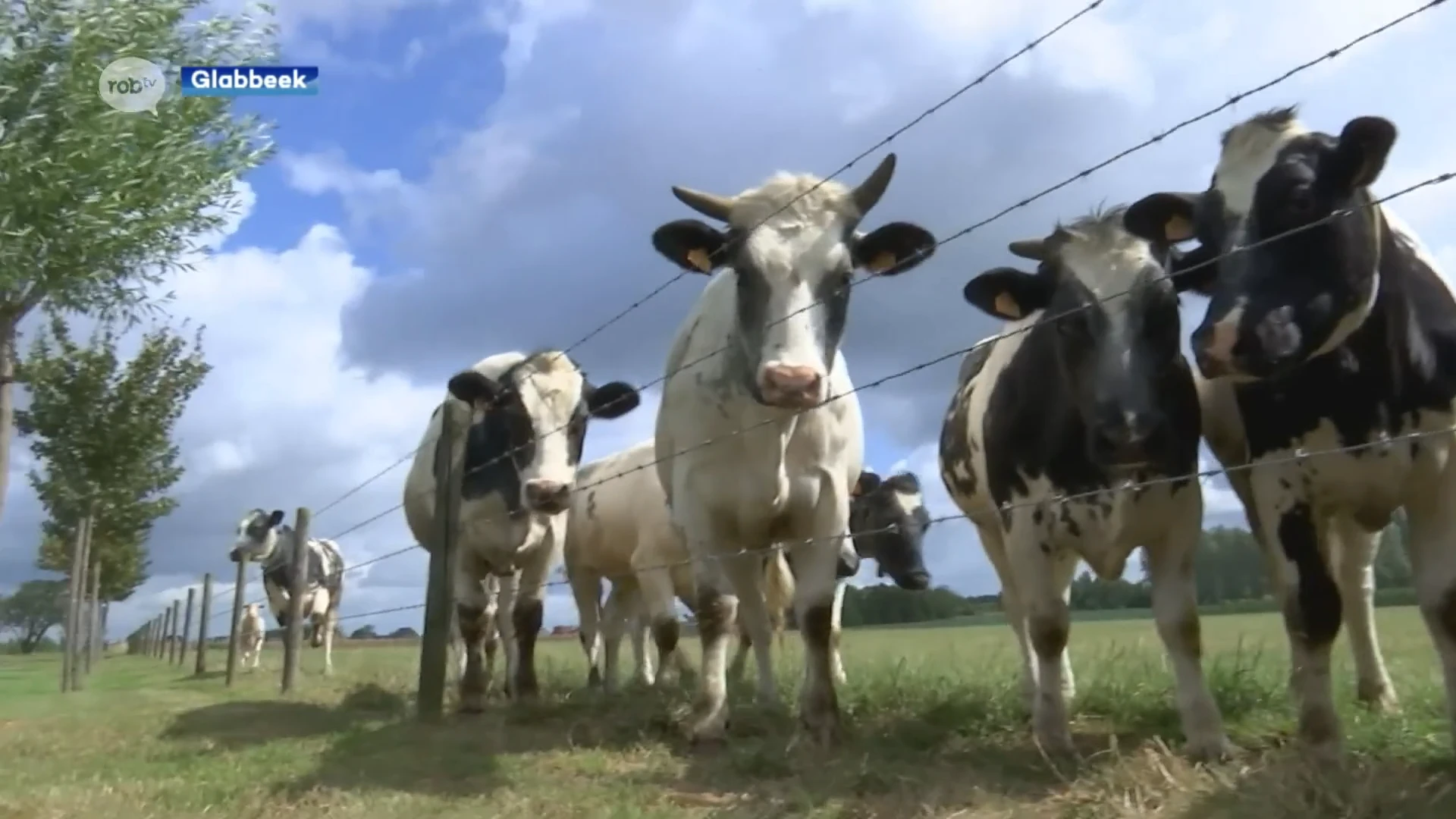 Minister Ben Weyts stelt Codex Dierenwelzijn voor in Glabbeek: "Verbod op thuisslachtingen en dierenmarkten"