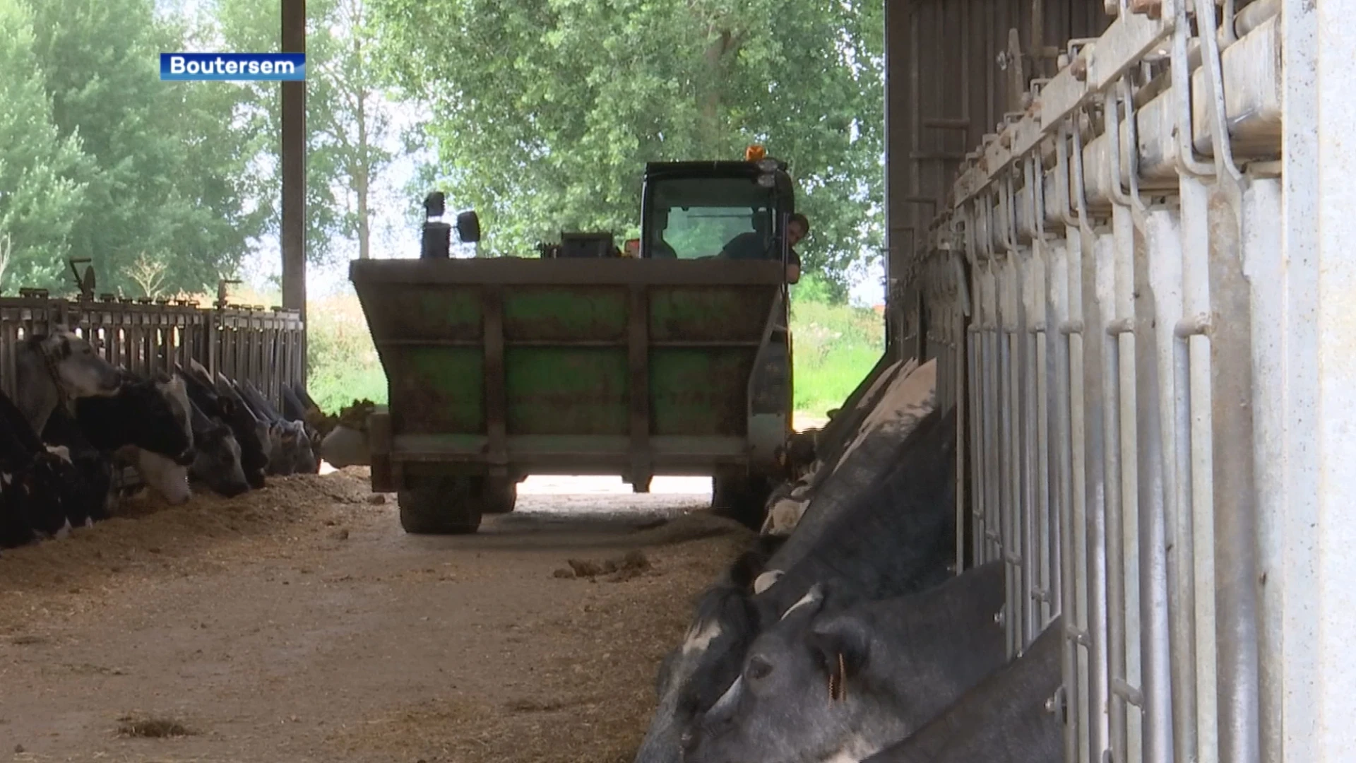 Landbouwers in regio blijven met kater achter na stikstofingreep Demir: "Te weinig tijd om ons aan te passen"