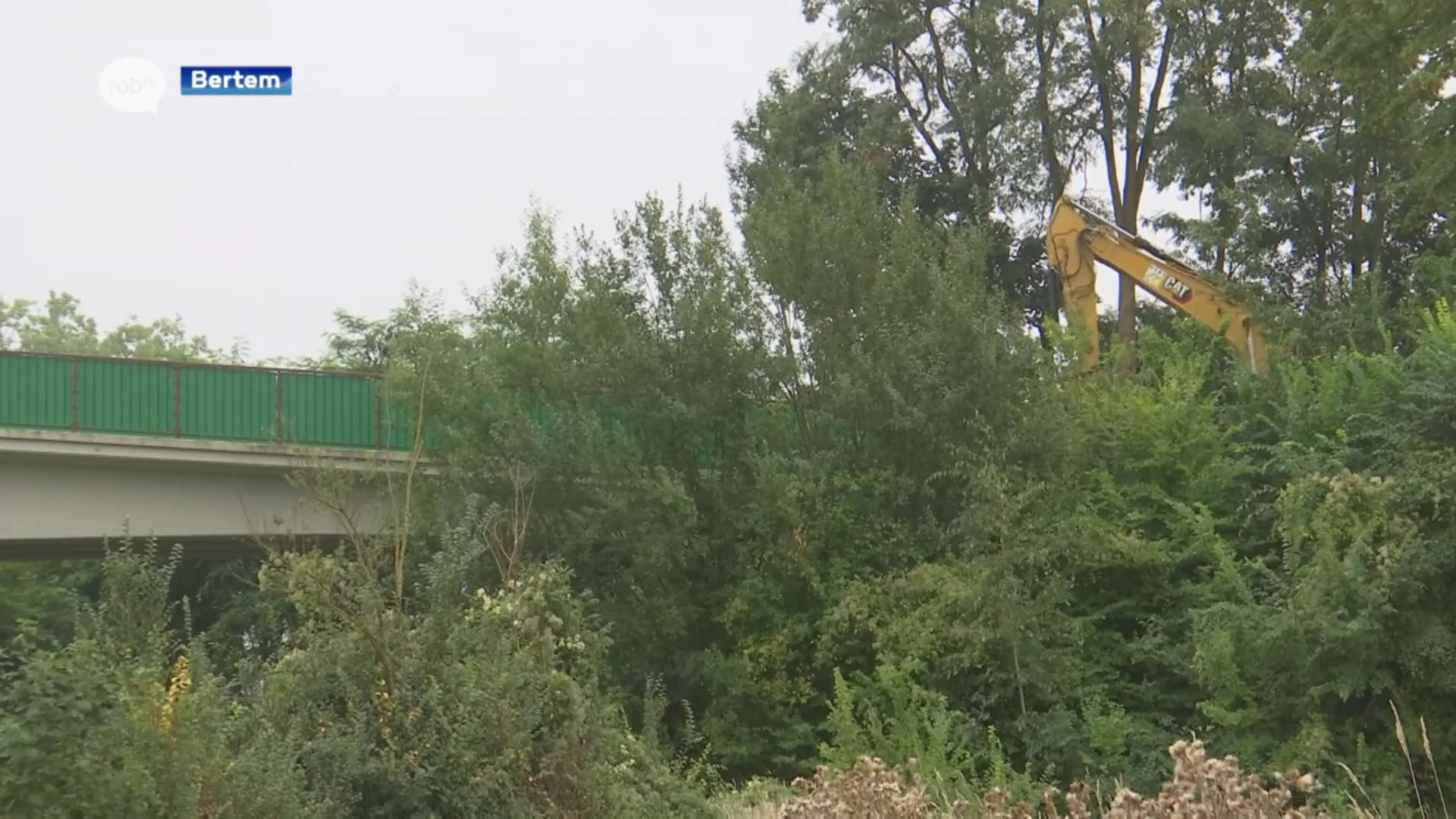 Nieuw ecoduct over de E40 in Bertem moet dieren veilig laten oversteken