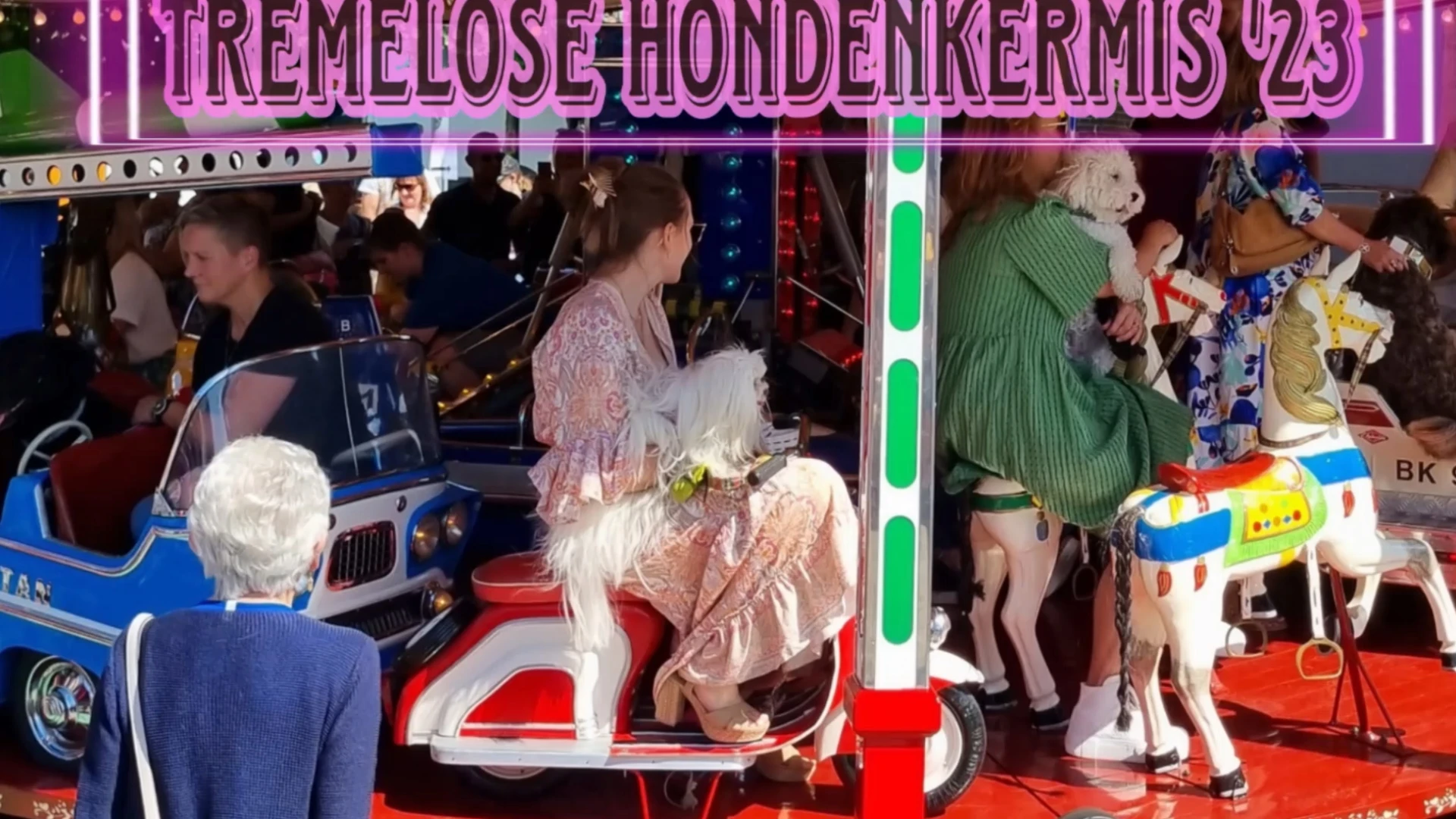 Yoga, fitness en kermis op maat van je hond tijdens hondenkermis in Tremelo