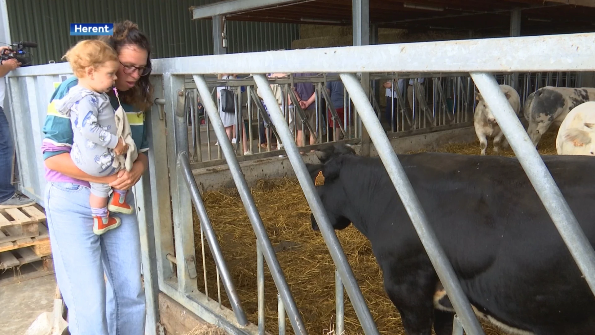 Landbouwbedrijven openen staldeuren voor grote publiek op Dag van de Landbouw