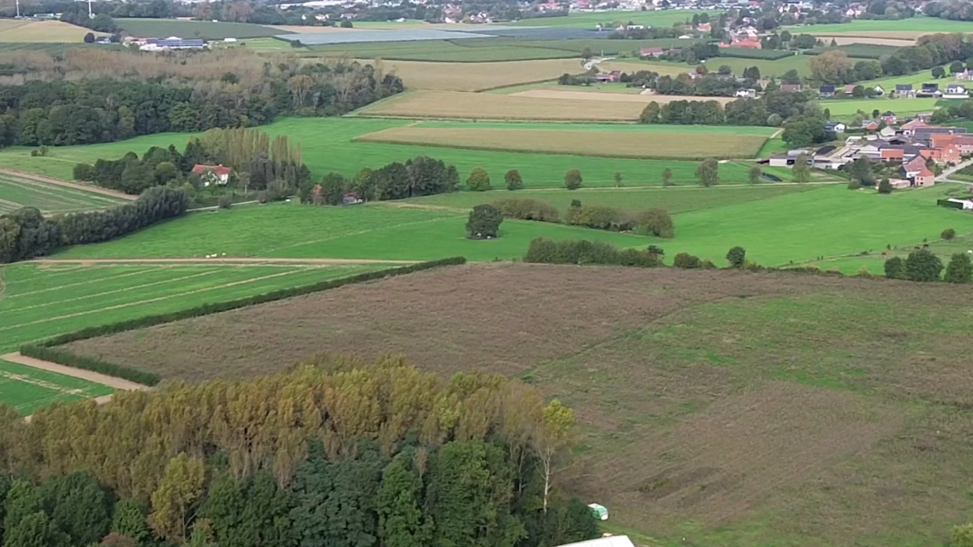 Natuurpunt gaat toch in overleg met Glabbeek over natuurbeheerplan: "Natuurpunt en landbouwers aan tafel brengen"