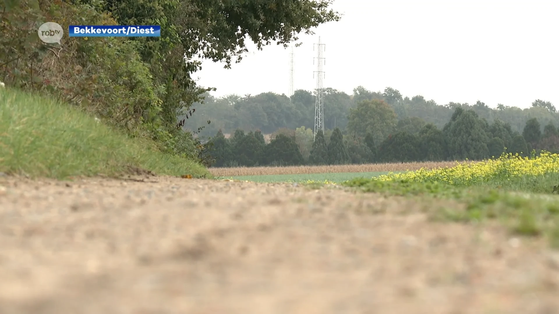 Ten laatste over twee jaar moet veilige fietsverbinding tussen Bekkevoort en Diest klaar zijn: "Al tientallen jaren gevraagd om moordstrookjes te verwijderen"