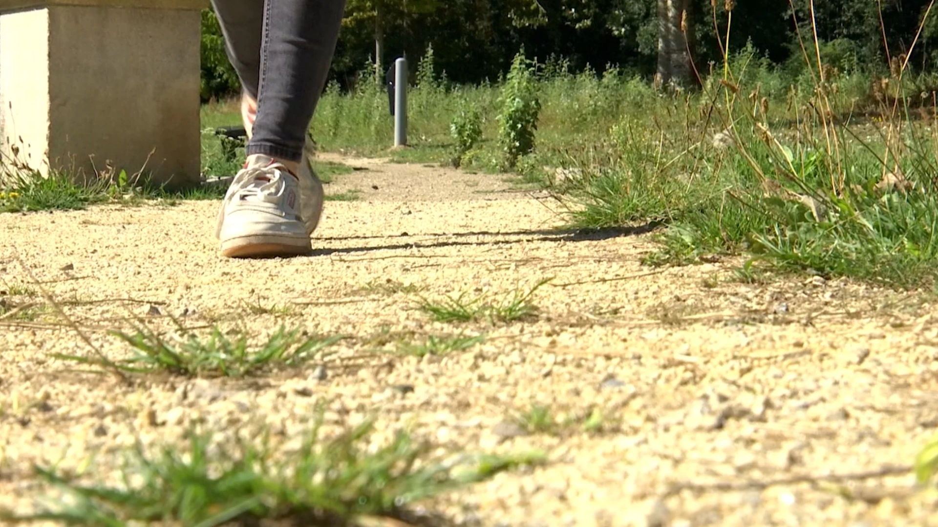 Herdenk Wapenstilstand met gratis lunch en wandeling in Kortenaken