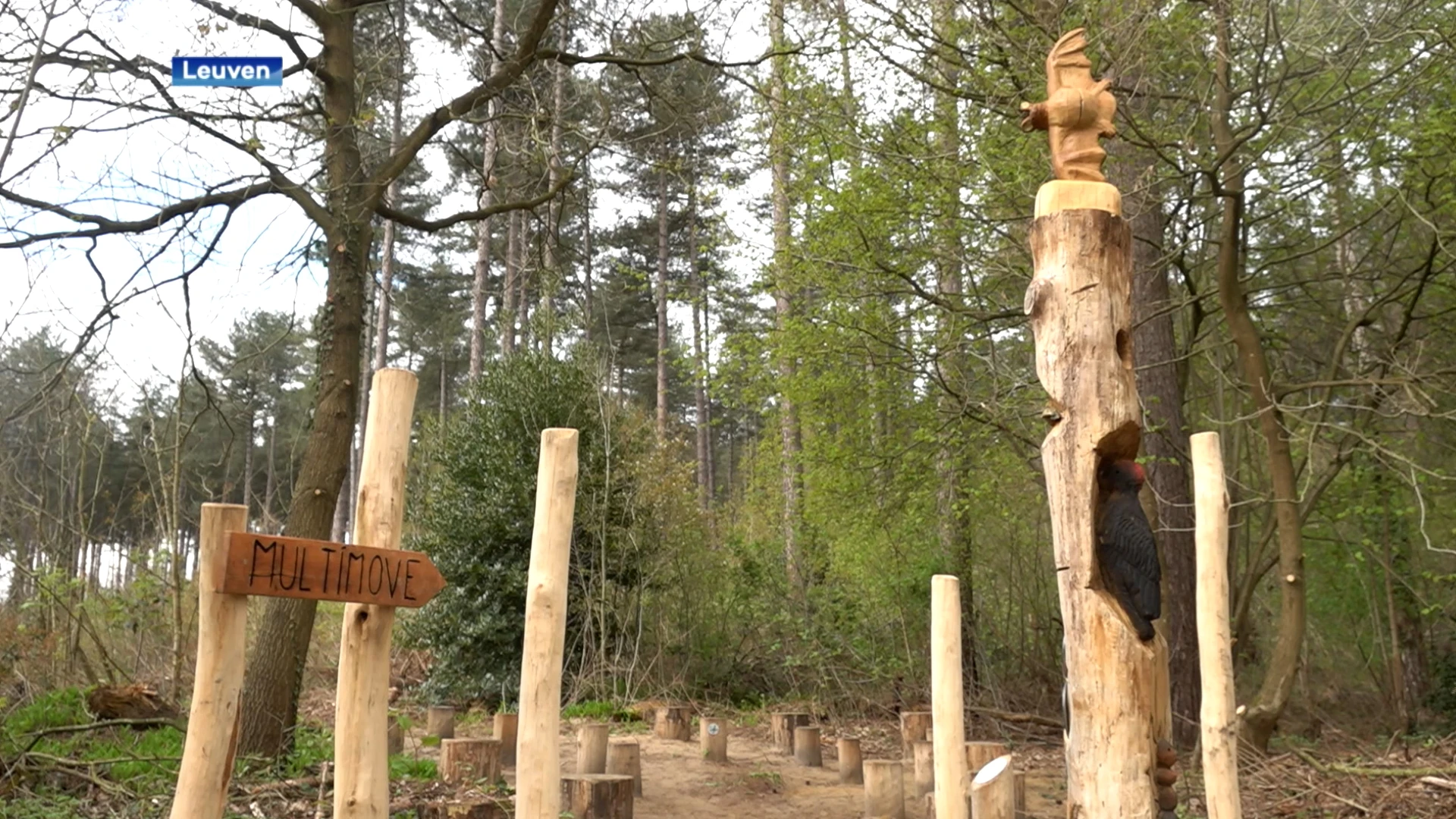 Alleen Tremelo heeft geen speelzone in een natuurgbied: "We hebben wel een speelbos in recreatiegebied"